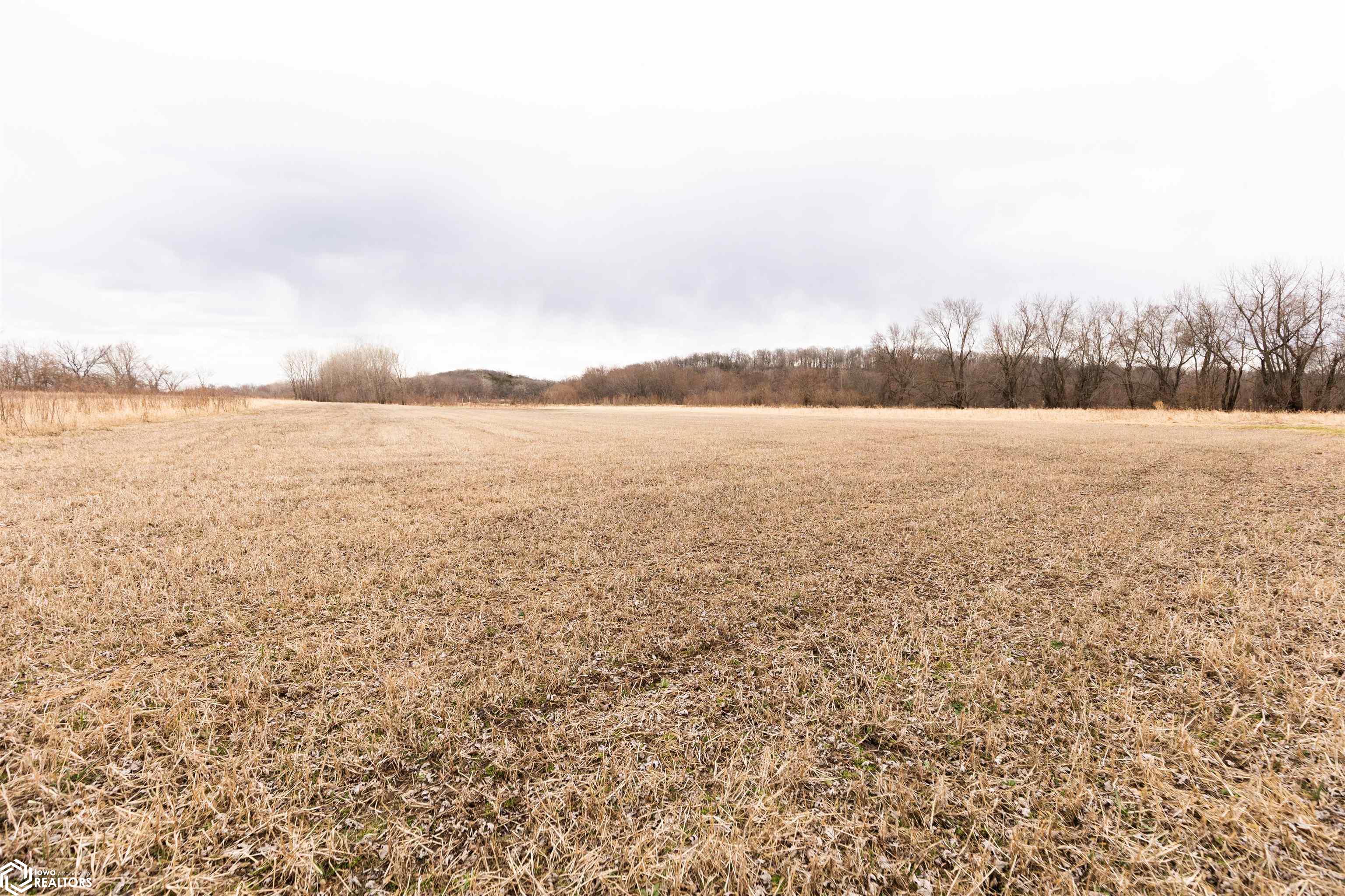 TBD Dogwood Avenue, Brighton, Iowa image 4