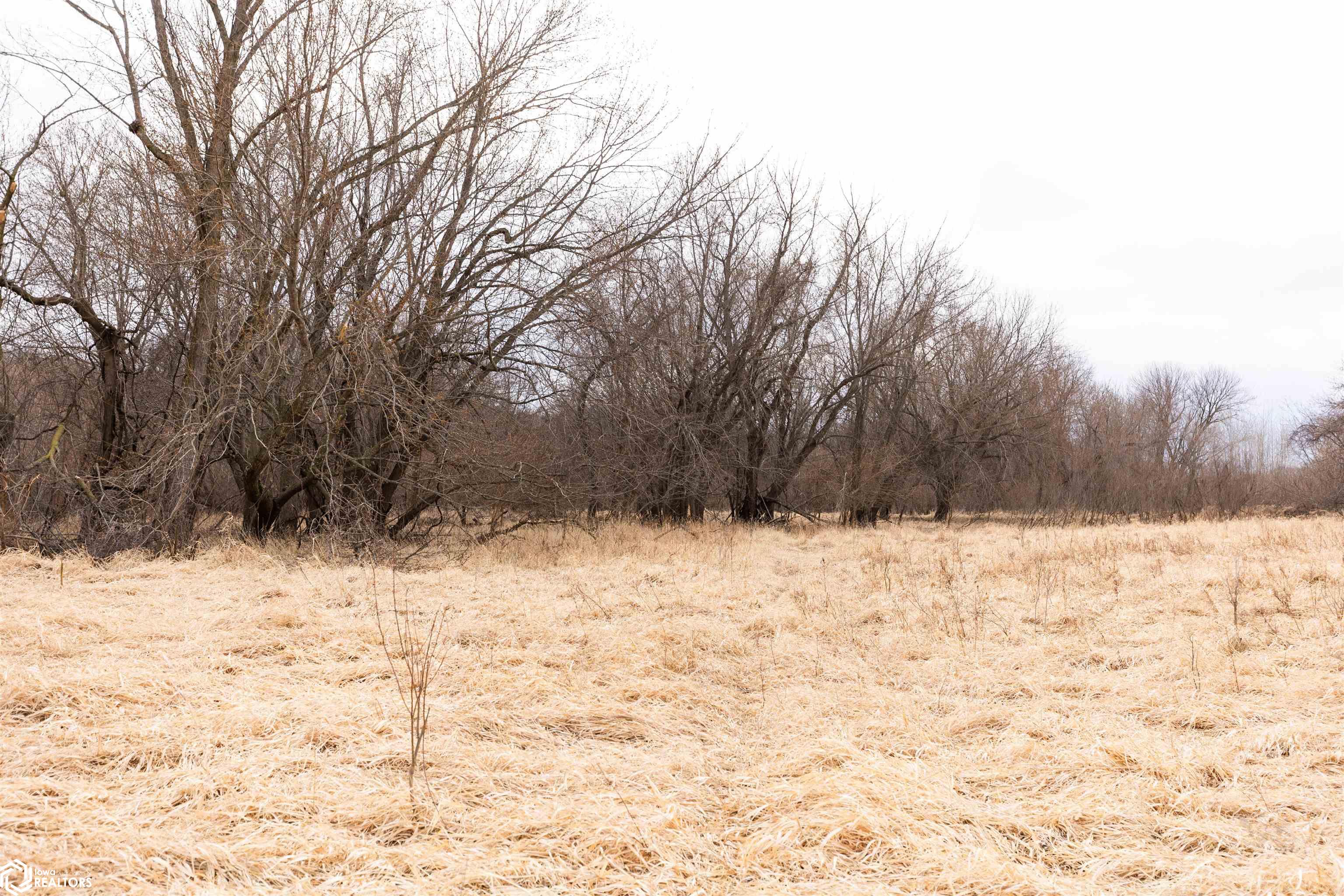 TBD Dogwood Avenue, Brighton, Iowa image 31