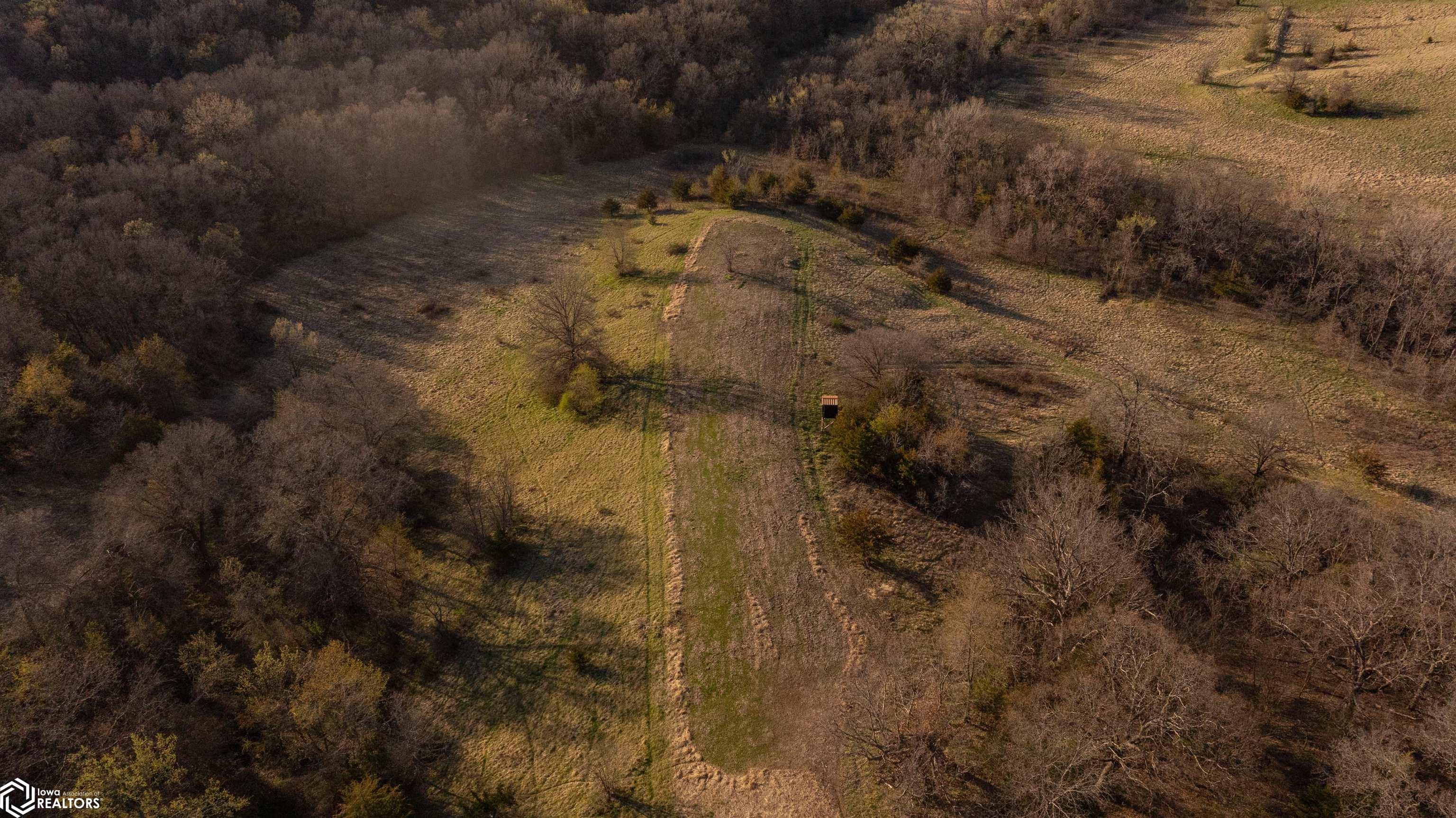 000 Bunch Road, Drakesville, Iowa image 17
