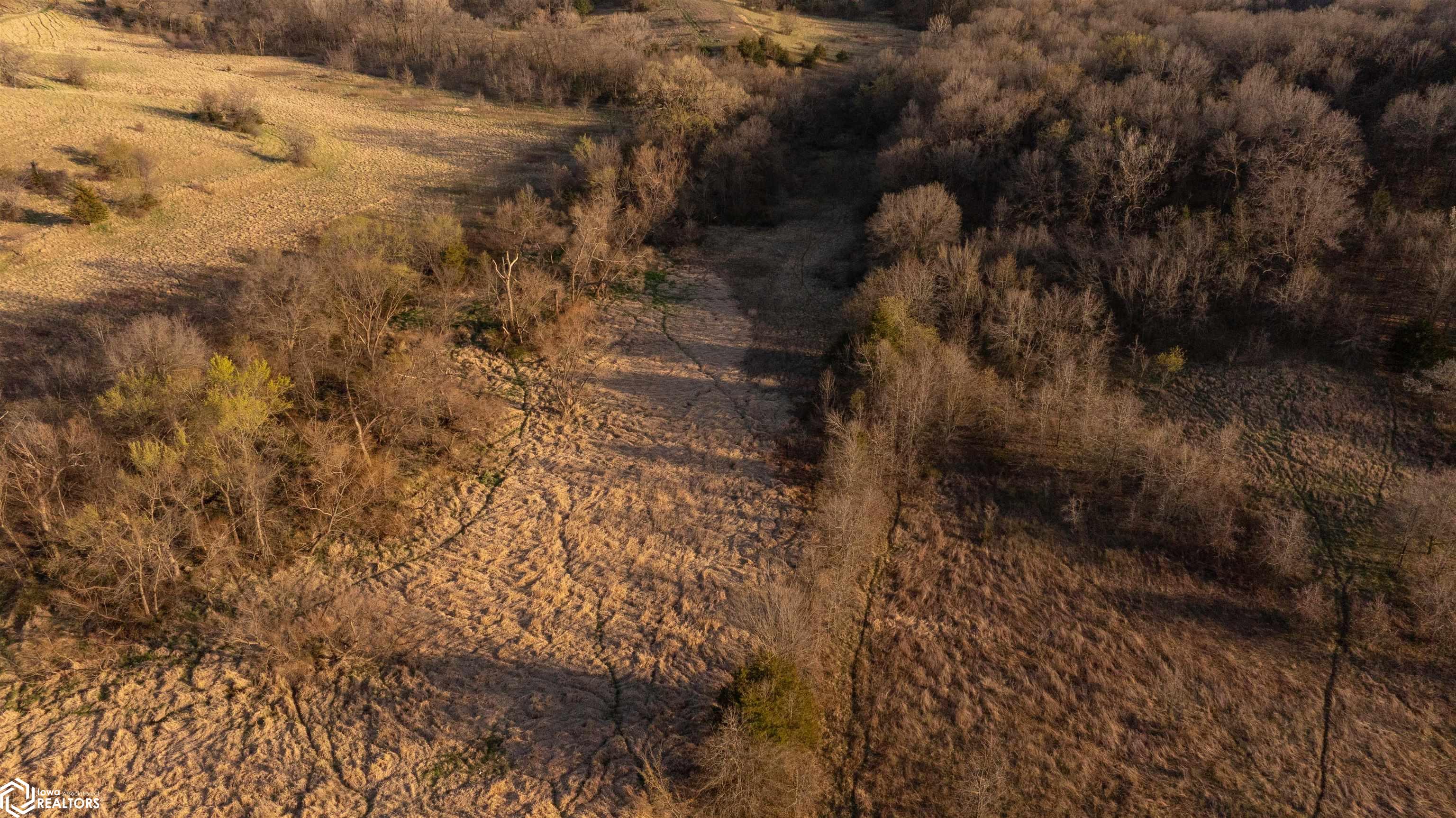 000 Bunch Road, Drakesville, Iowa image 31