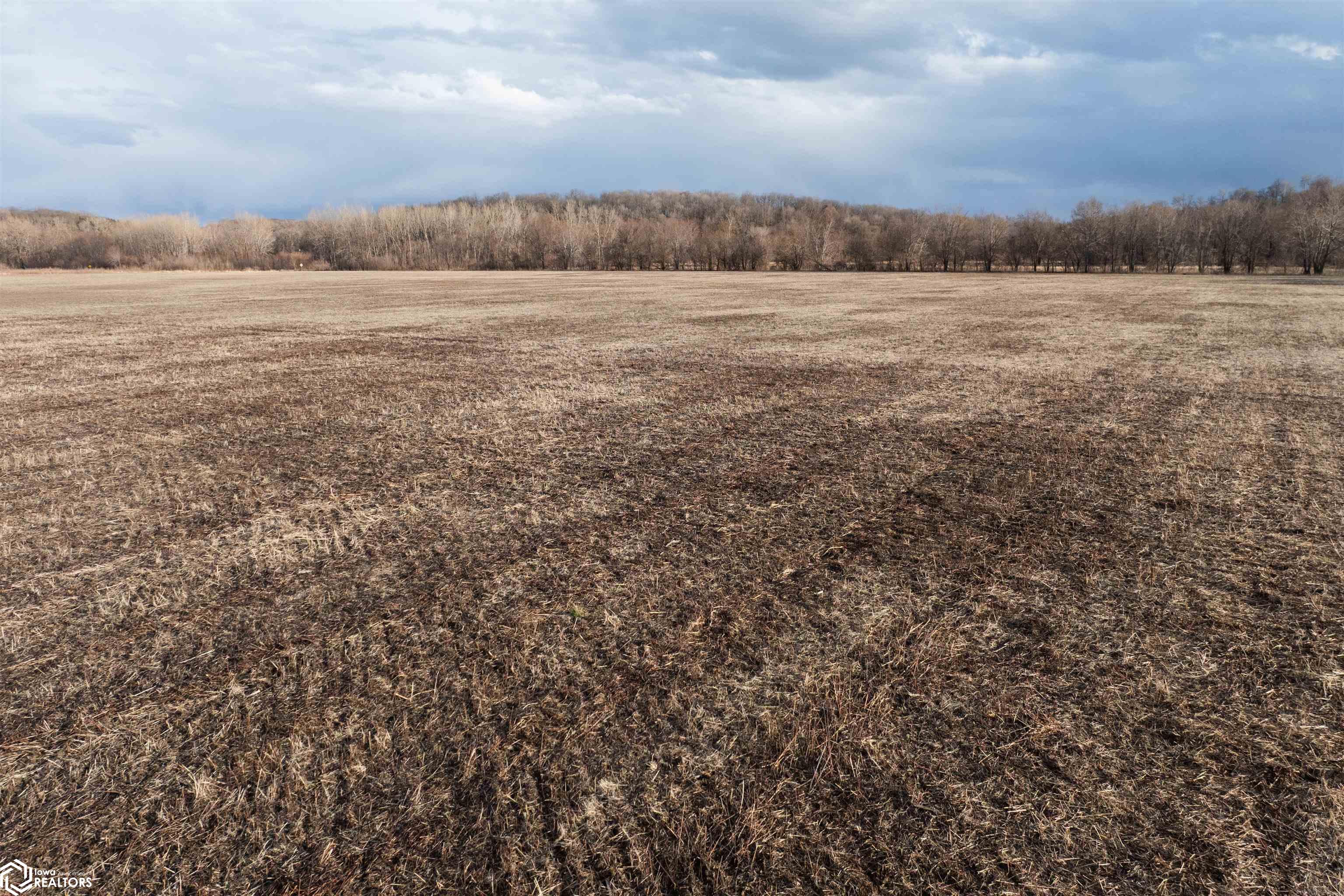 TBD Dogwood Avenue, Brighton, Iowa image 15
