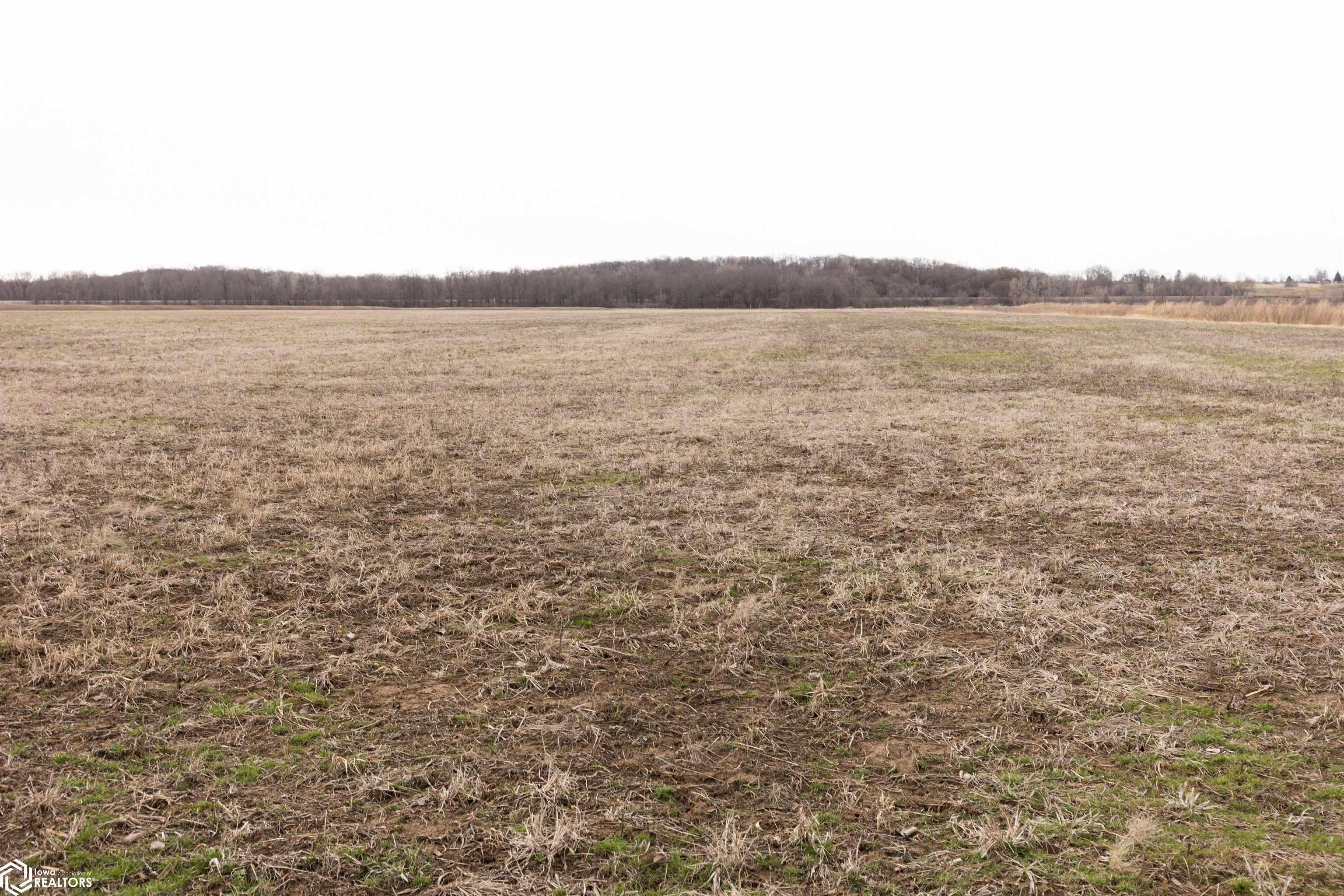 TBD Dogwood Avenue, Brighton, Iowa image 23