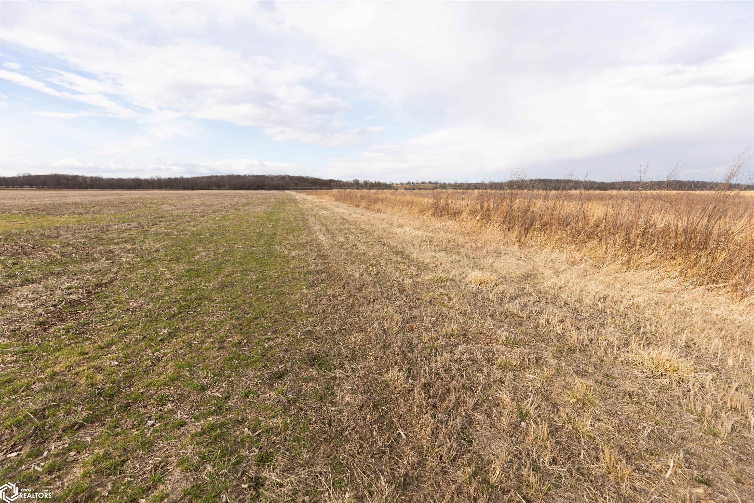 TBD Dogwood Avenue, Brighton, Iowa image 25