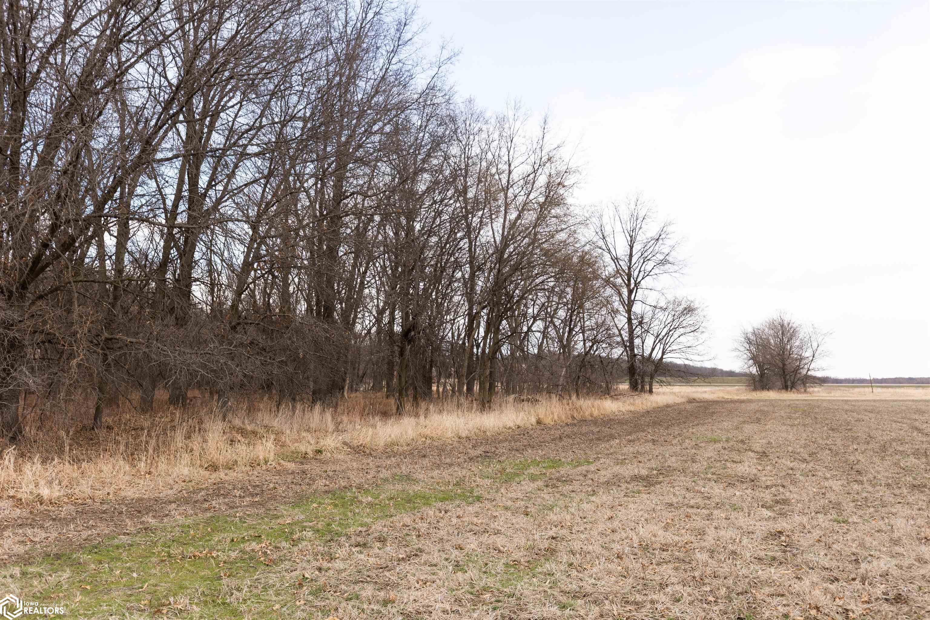 TBD Dogwood Avenue, Brighton, Iowa image 26