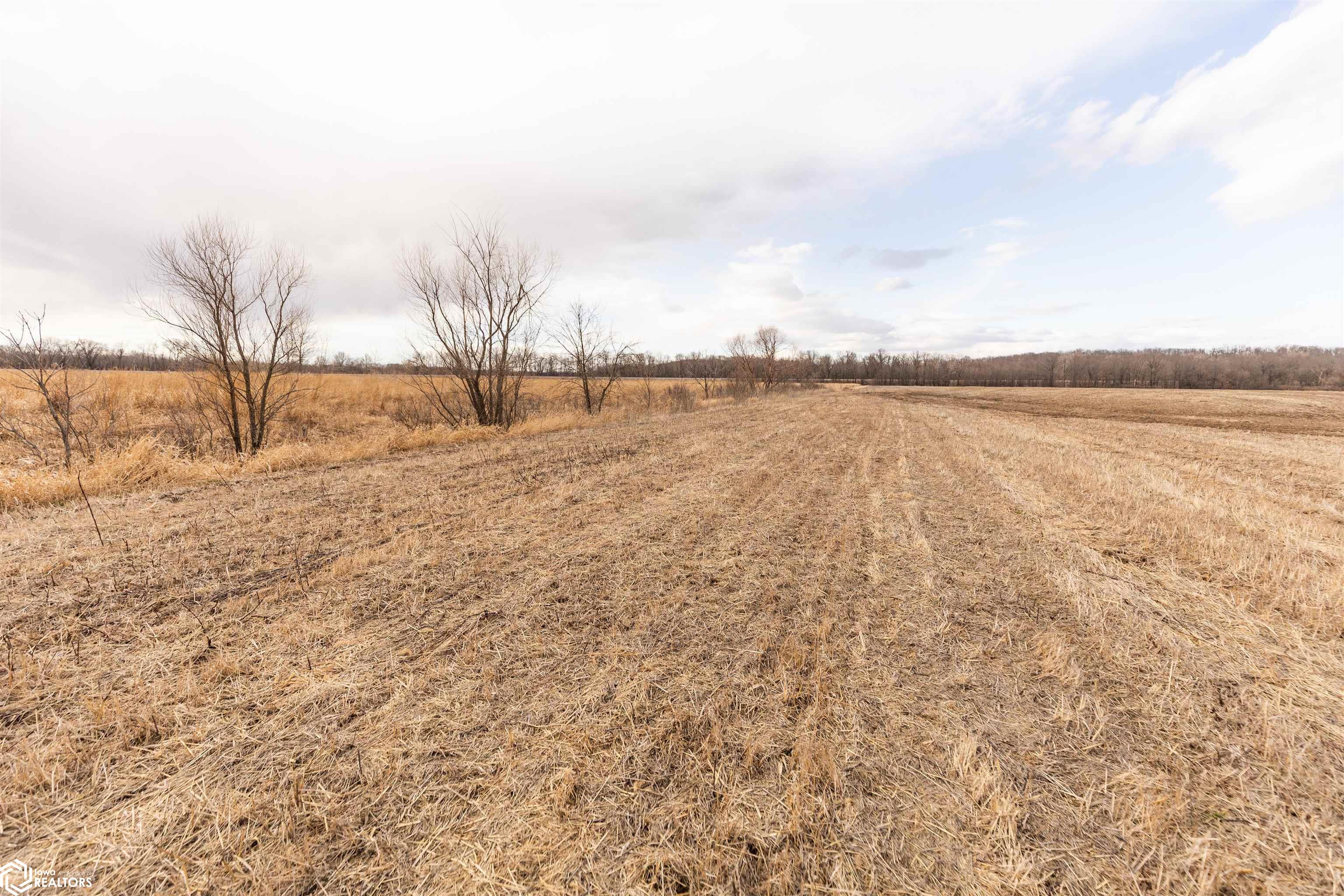 TBD Dogwood Avenue, Brighton, Iowa image 27