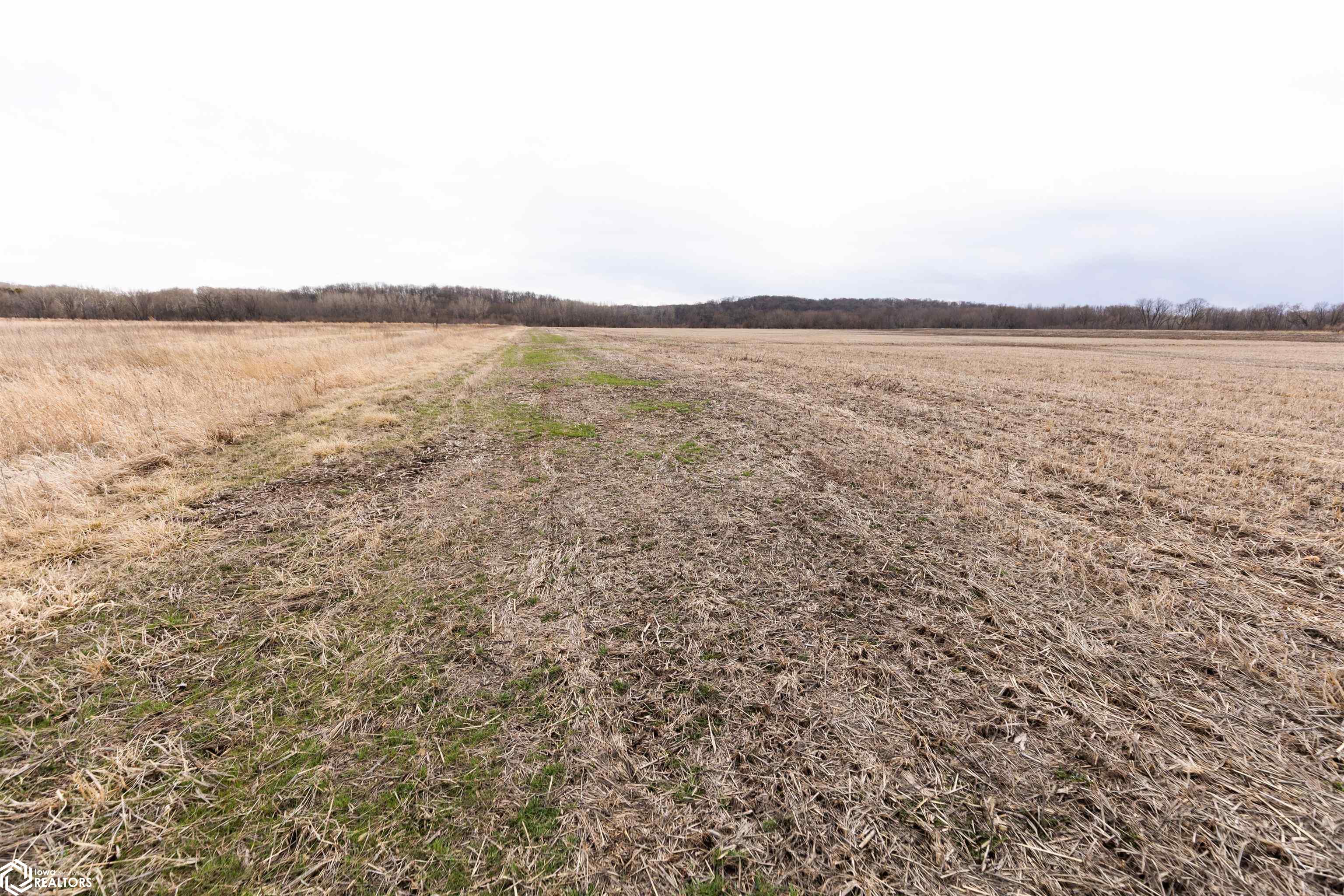 TBD Dogwood Avenue, Brighton, Iowa image 4