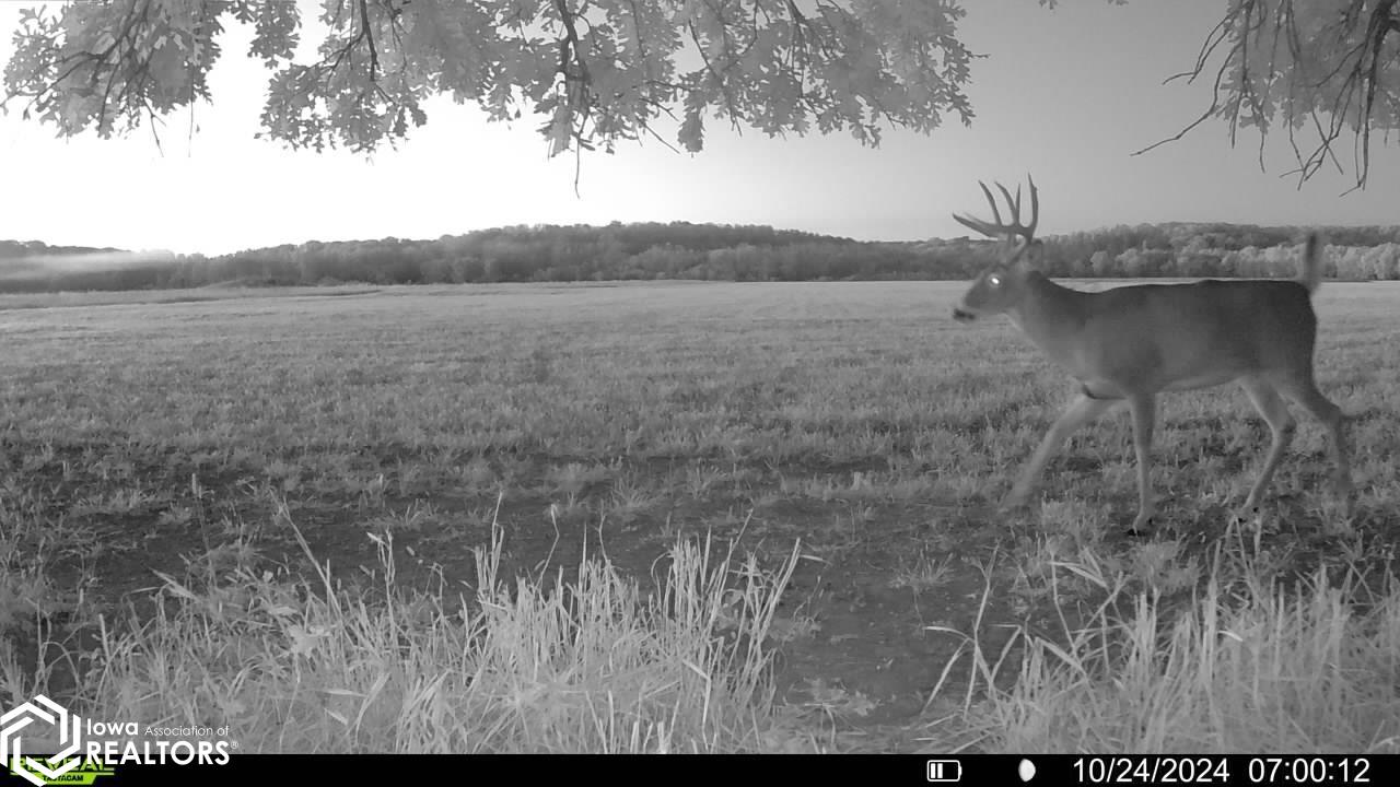 TBD Dogwood Avenue, Brighton, Iowa image 32