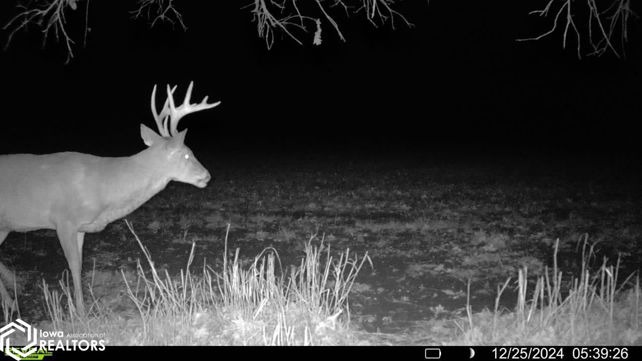 TBD Dogwood Avenue, Brighton, Iowa image 33