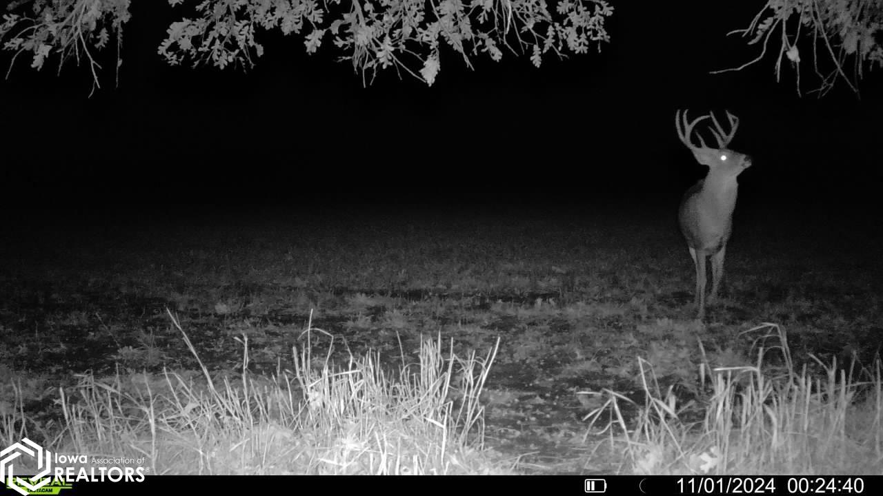 TBD Dogwood Avenue, Brighton, Iowa image 37