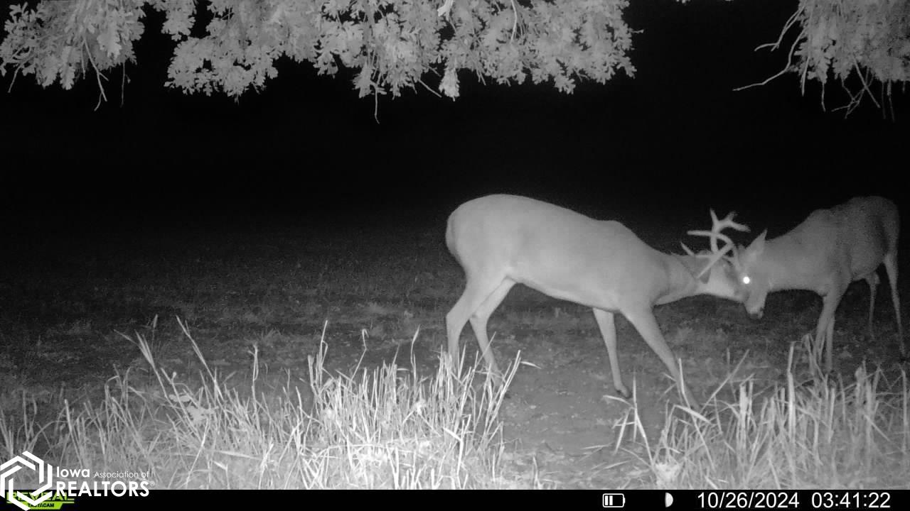 TBD Dogwood Avenue, Brighton, Iowa image 38
