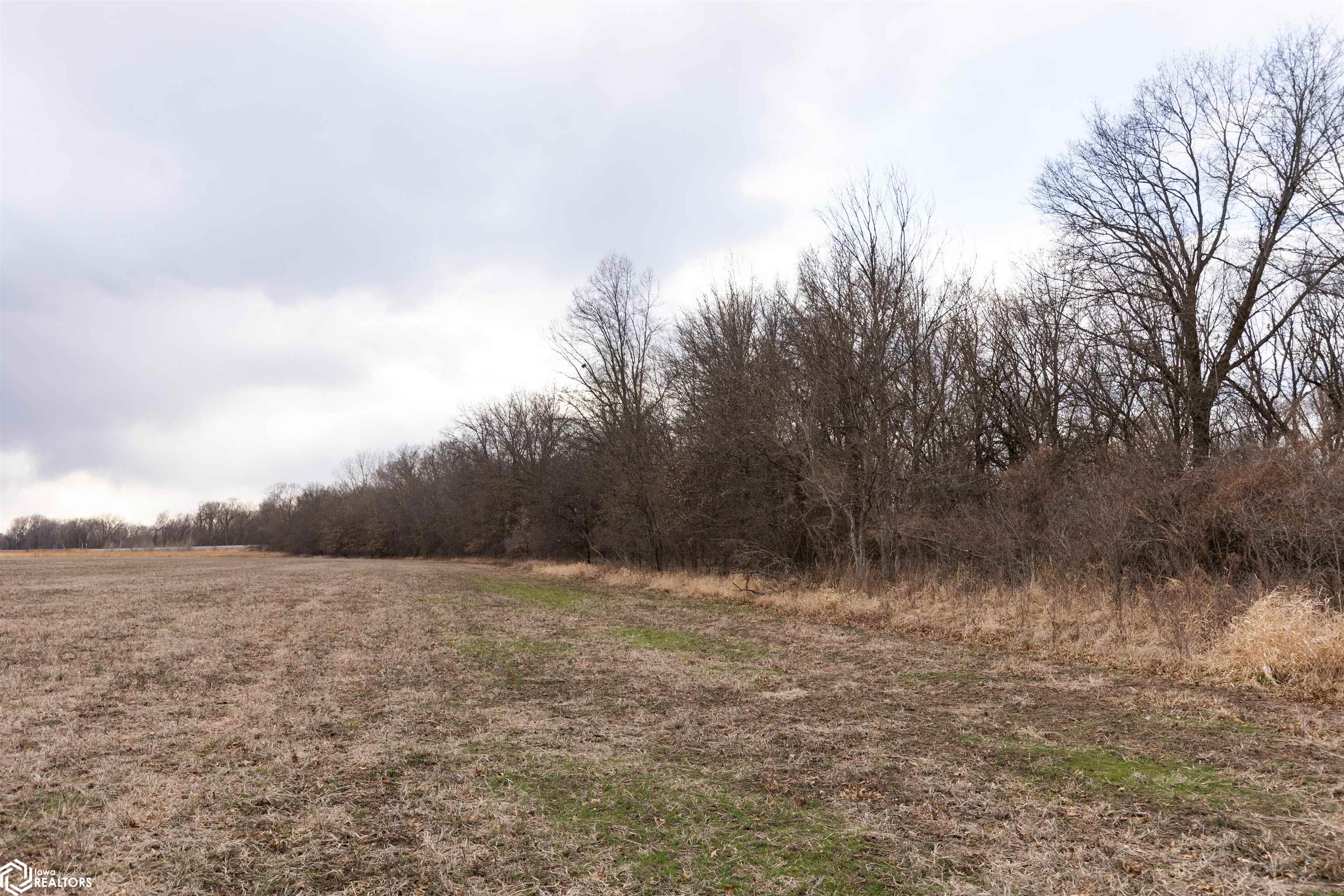 TBD Dogwood Avenue, Brighton, Iowa image 40