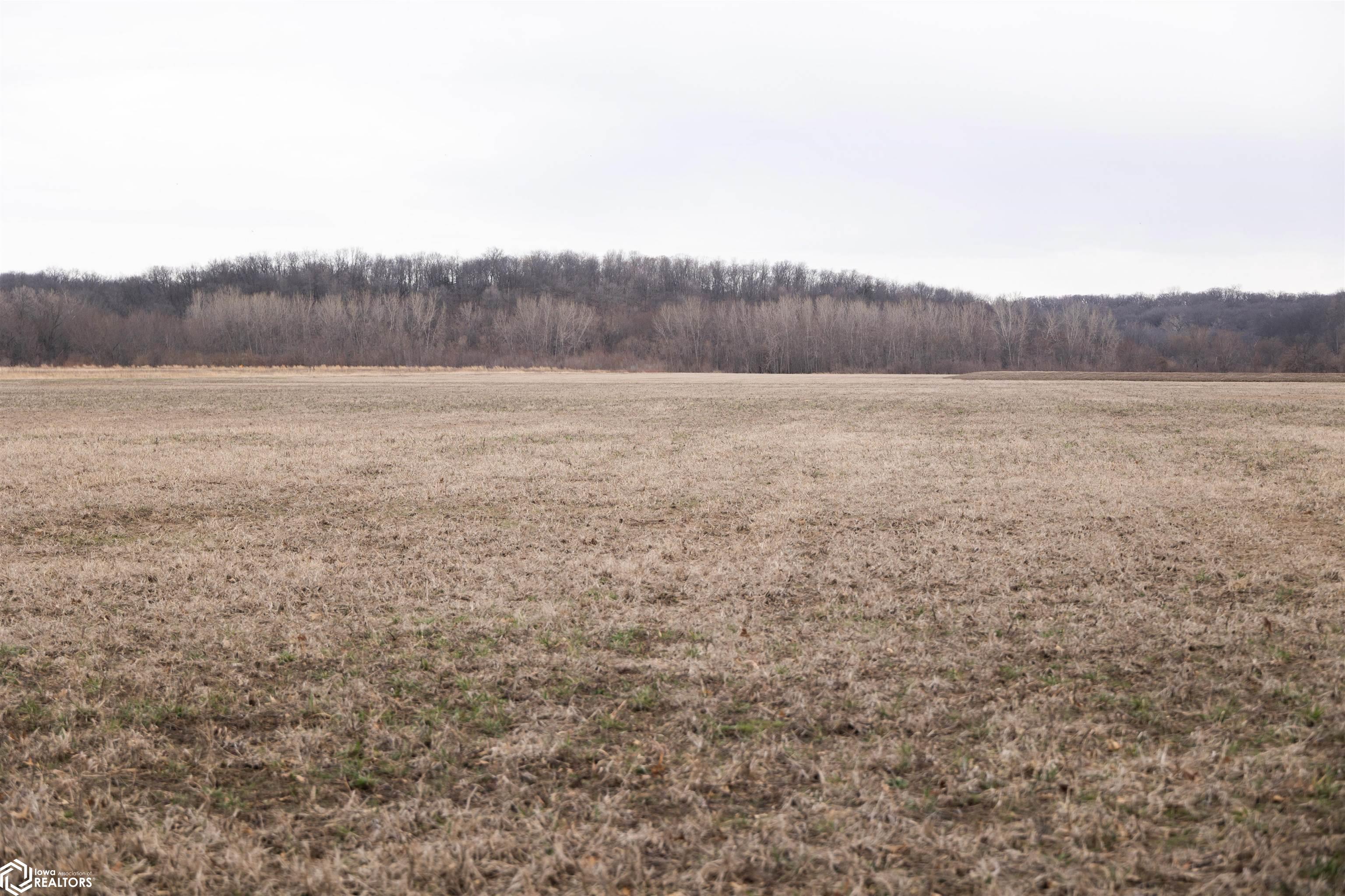 TBD Dogwood Avenue, Brighton, Iowa image 43