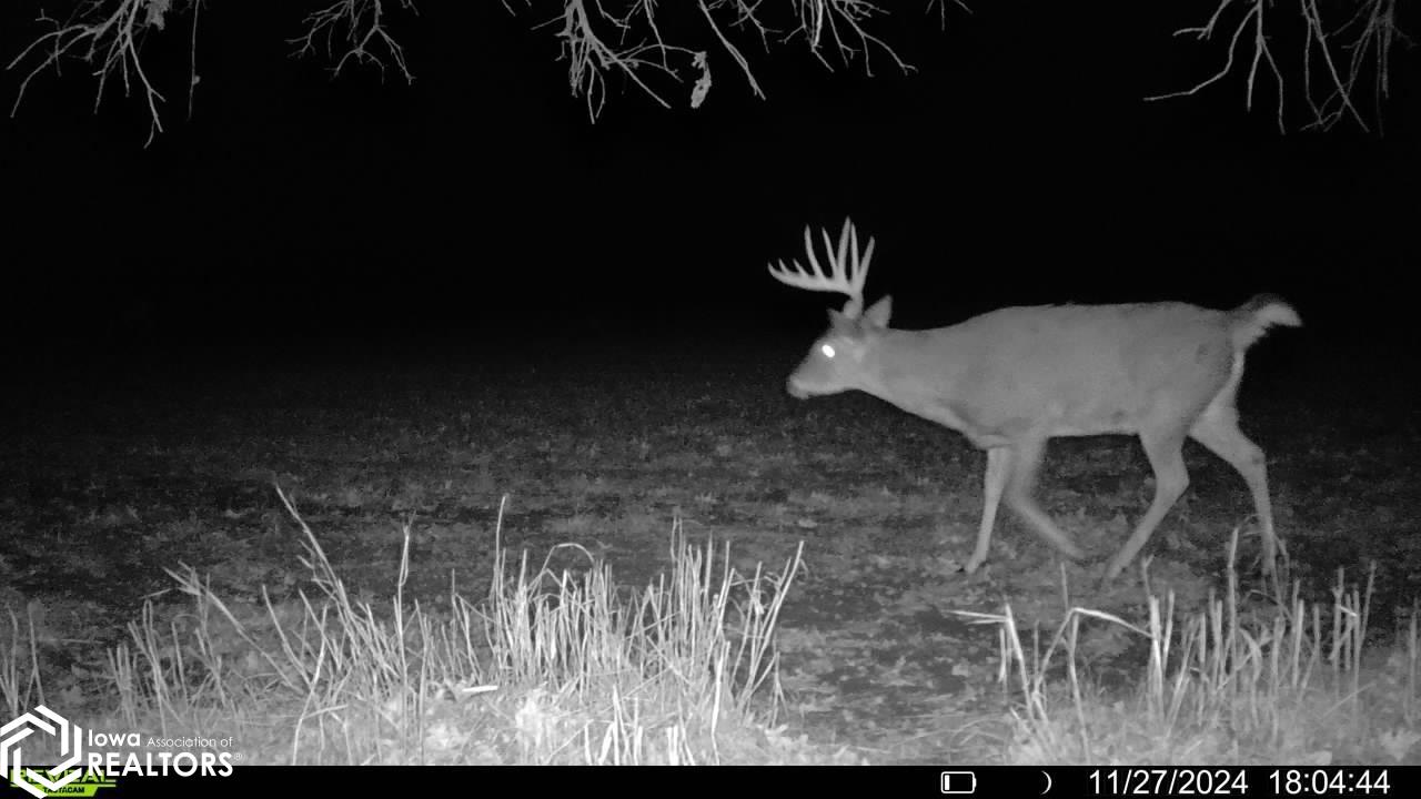 TBD Dogwood Avenue, Brighton, Iowa image 8