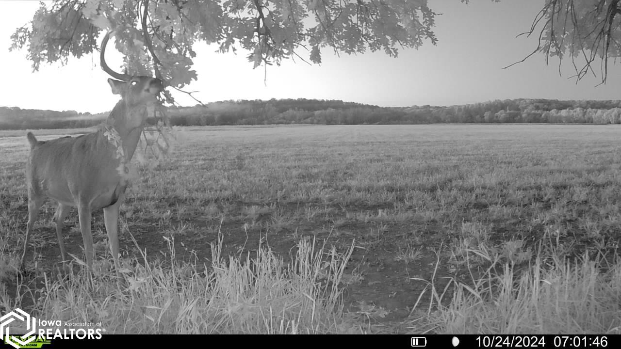 TBD Dogwood Avenue, Brighton, Iowa image 9