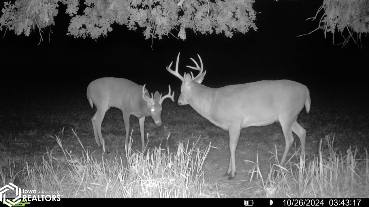TBD Dogwood Avenue, Brighton, Iowa image 10