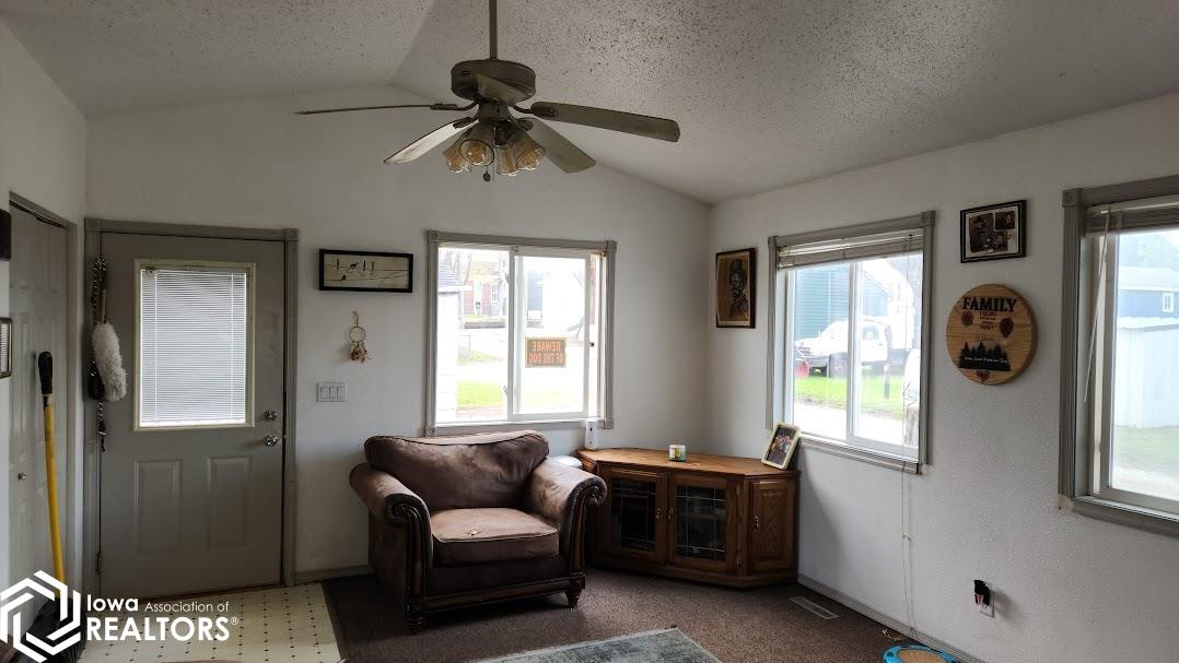 221 13th Street, Mason City, Iowa image 8