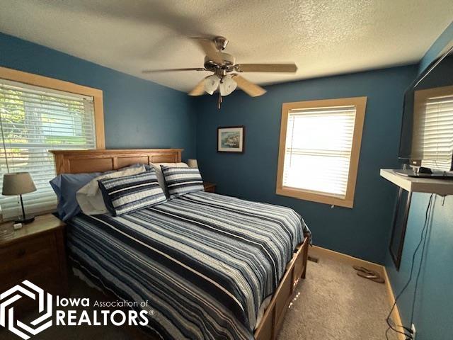 6183 Lakeshore Drive, Brooklyn, Iowa image 11