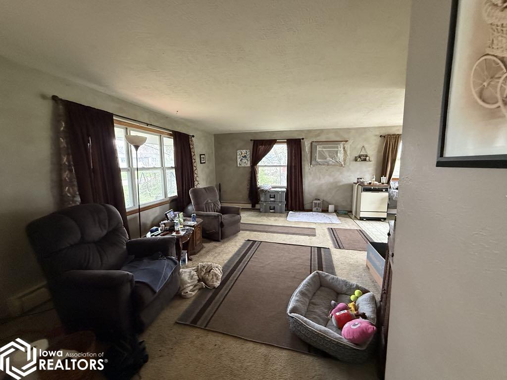 315 E Franklin Street, Centerville, Iowa image 8