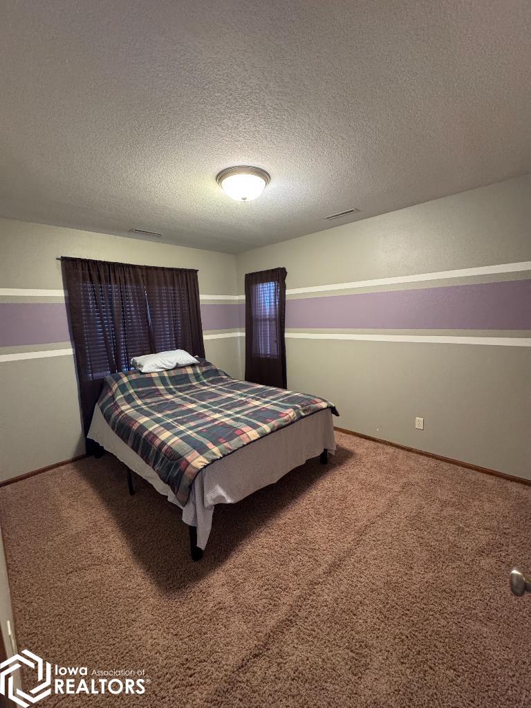 603 Pine Brooke Drive, Clear Lake, Iowa image 16