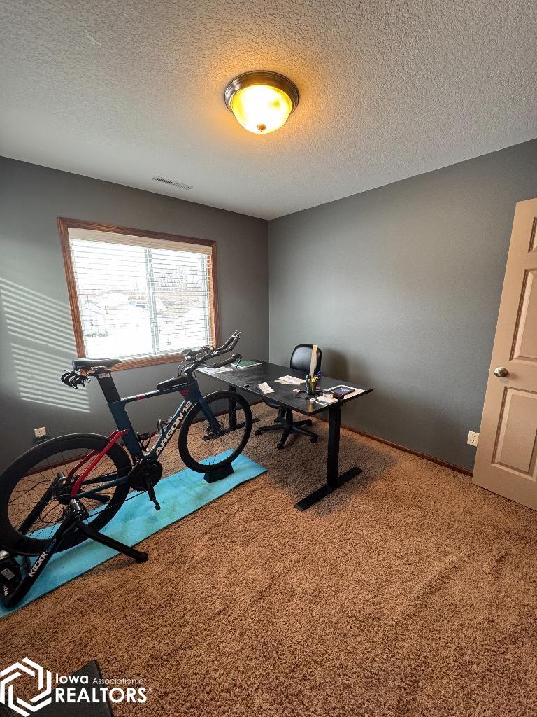 603 Pine Brooke Drive, Clear Lake, Iowa image 19