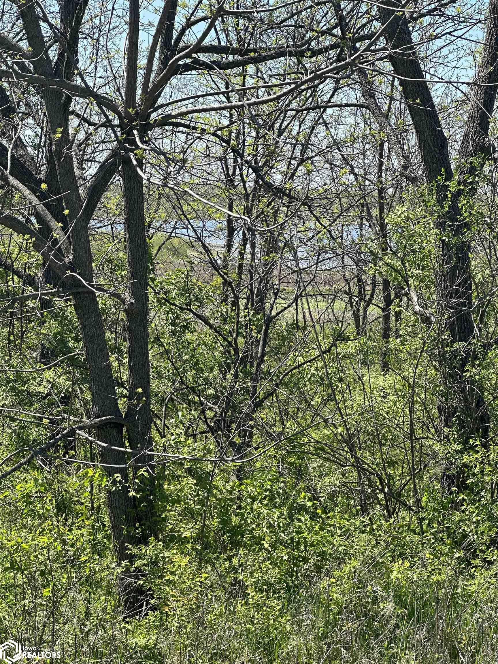 150th Street, Mystic, Iowa image 8