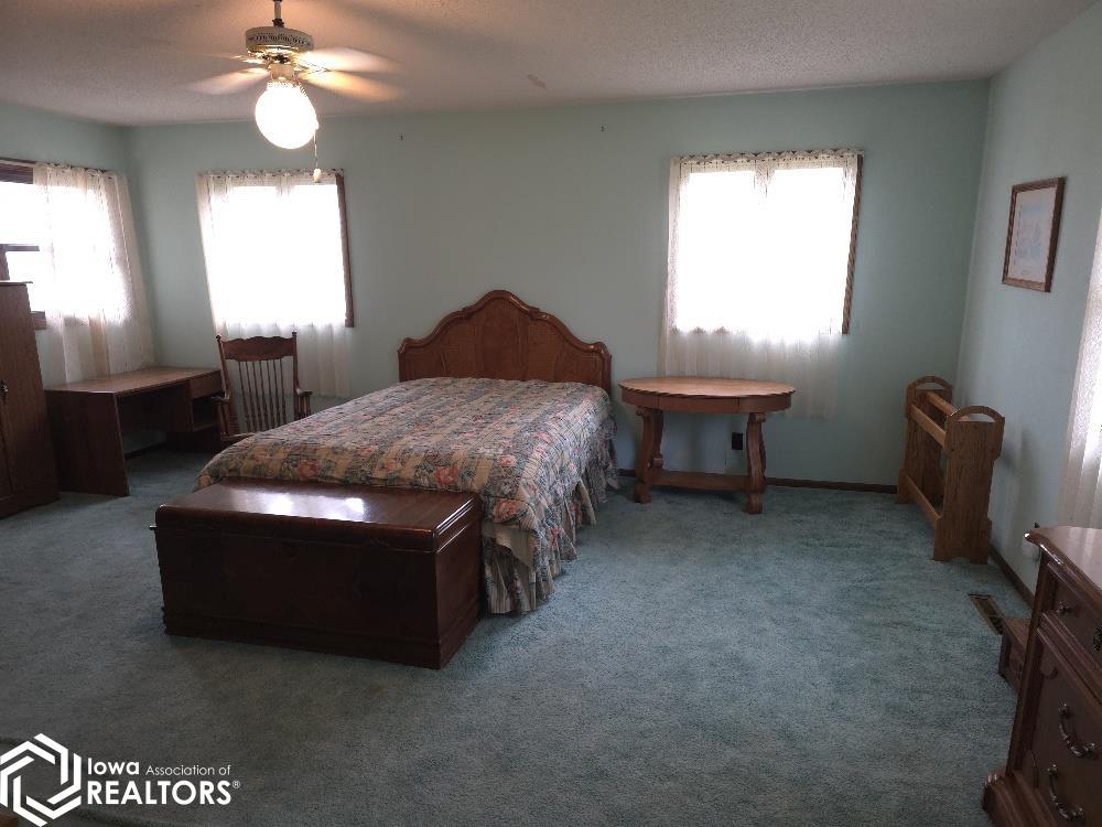 704 Lake Street, Blairsburg, Iowa image 23
