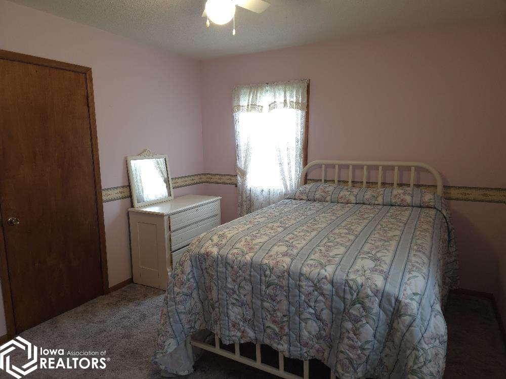 704 Lake Street, Blairsburg, Iowa image 32