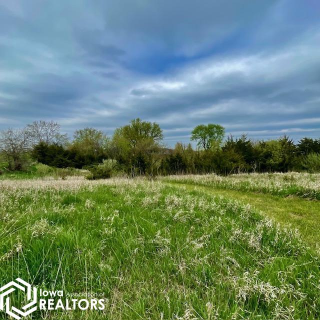 49179 270th Avenue, Chariton, Iowa image 17
