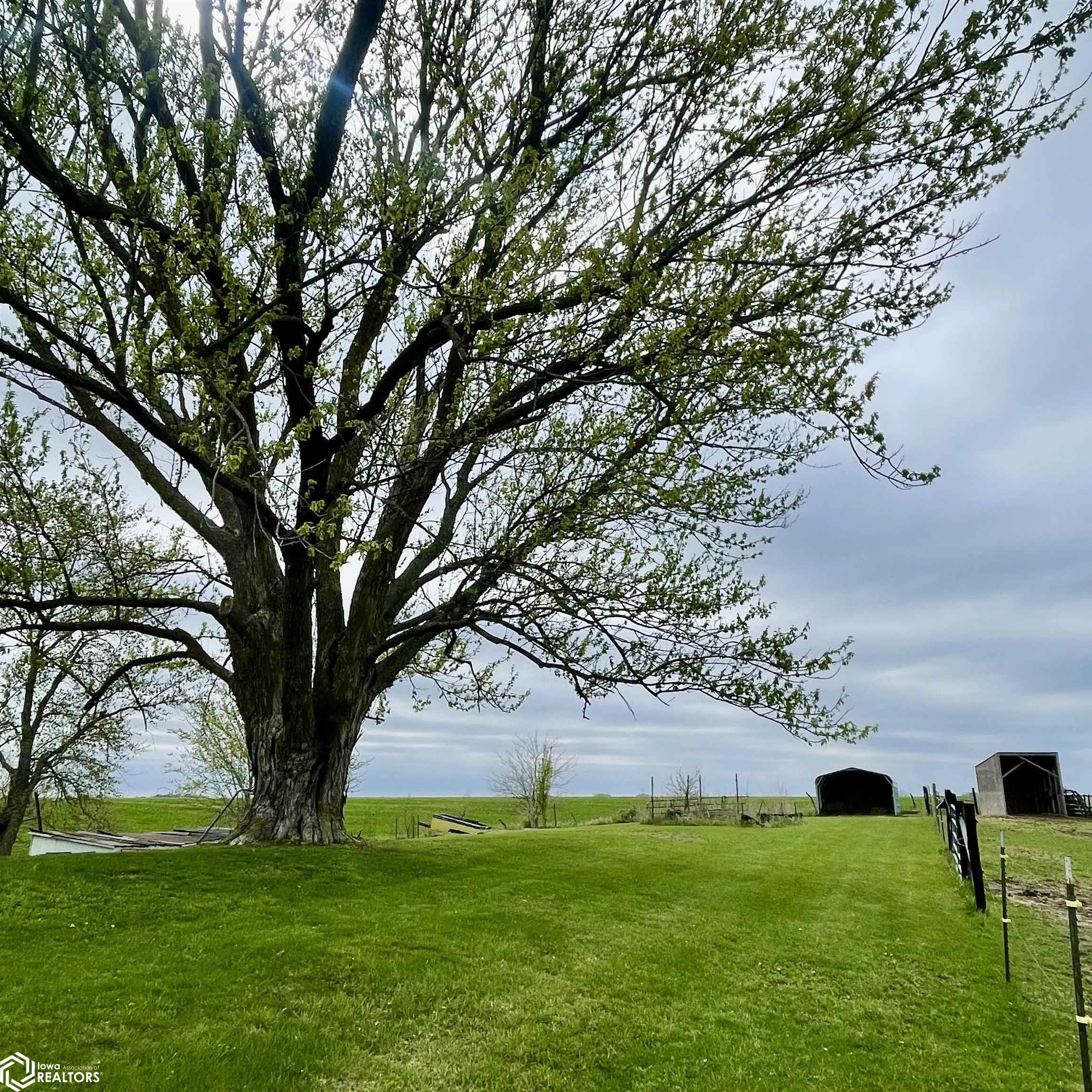 49179 270th Avenue, Chariton, Iowa image 31