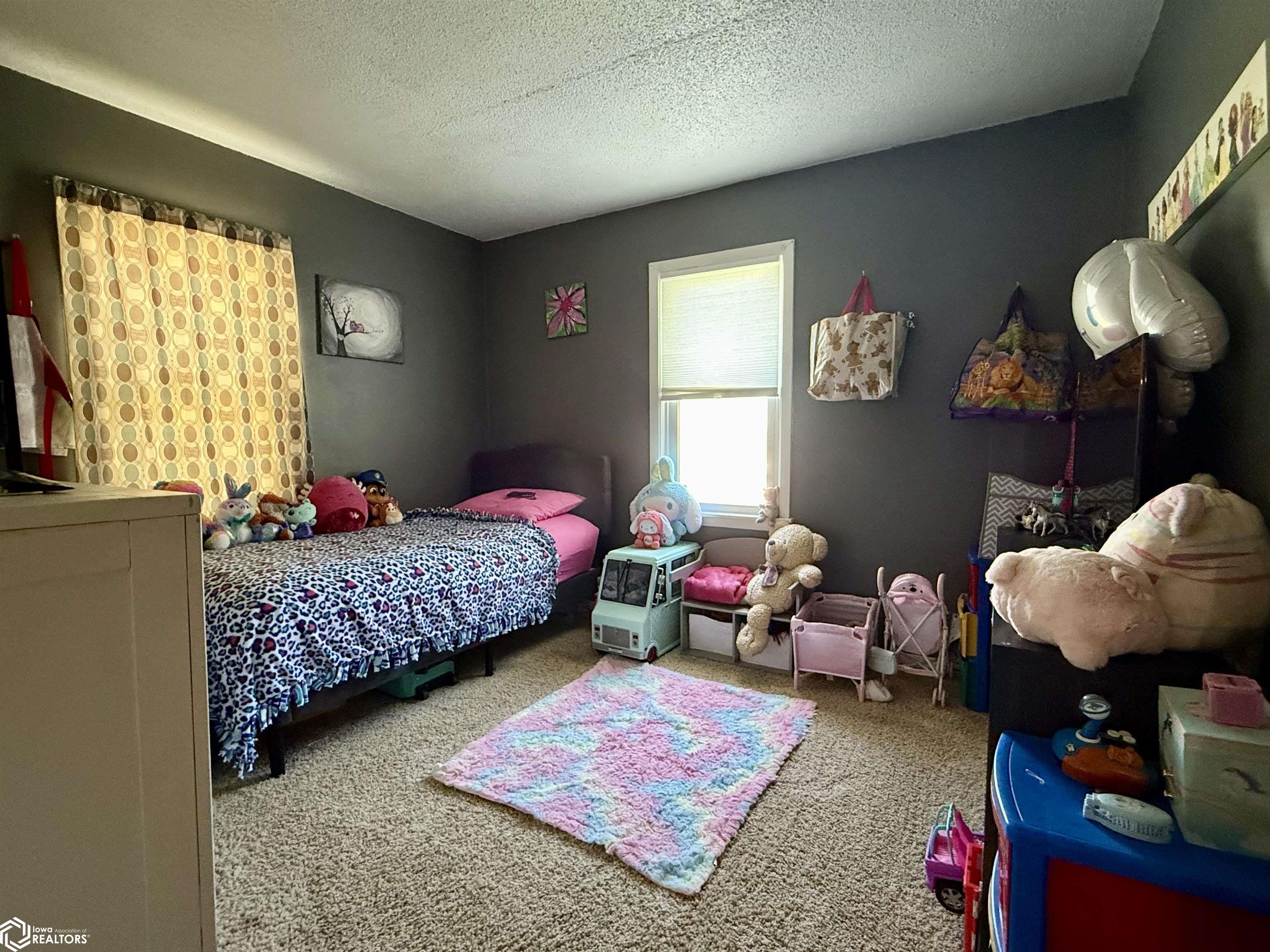 504 Livingston Street, Churdan, Iowa image 20