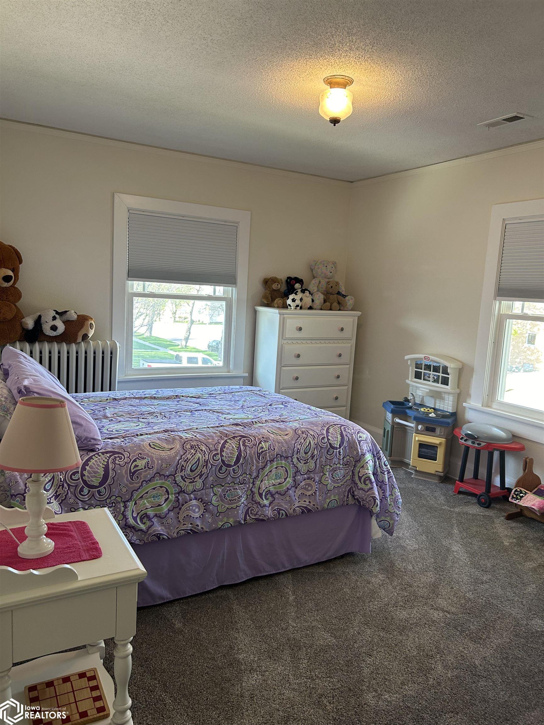 21 SW 3rd Street, Pocahontas, Iowa image 35