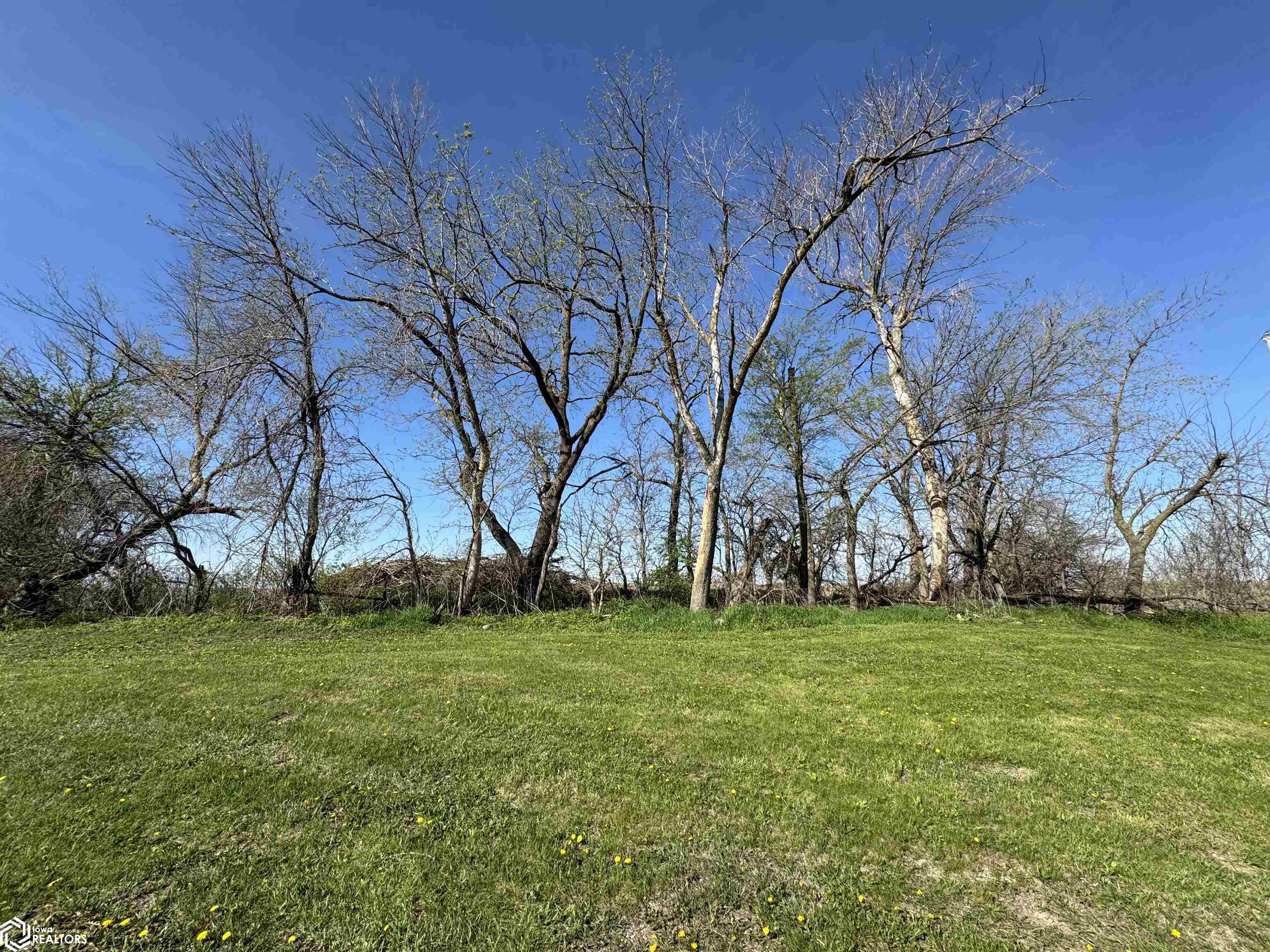 1140 250th Street, Adair, Iowa image 3