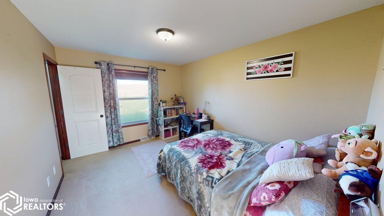 113 Wild Rose Avenue, Forest City, Iowa image 20