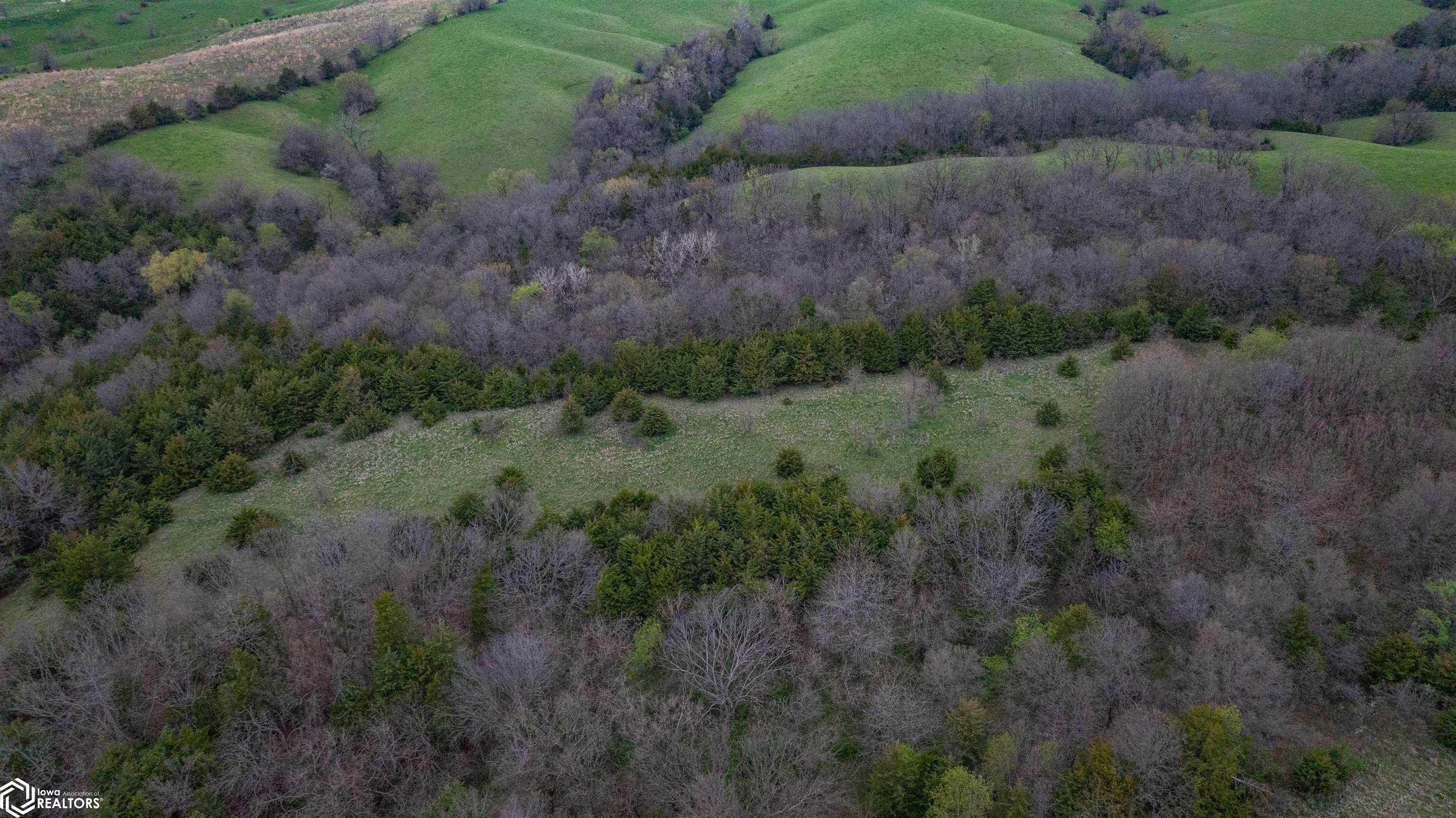 00000 593 Road, Albia, Iowa image 17