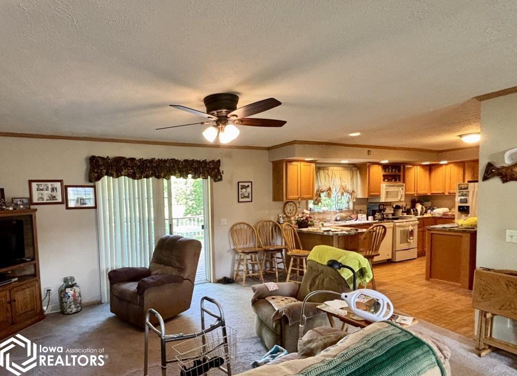 306 1st Street, Keosauqua, Iowa image 9