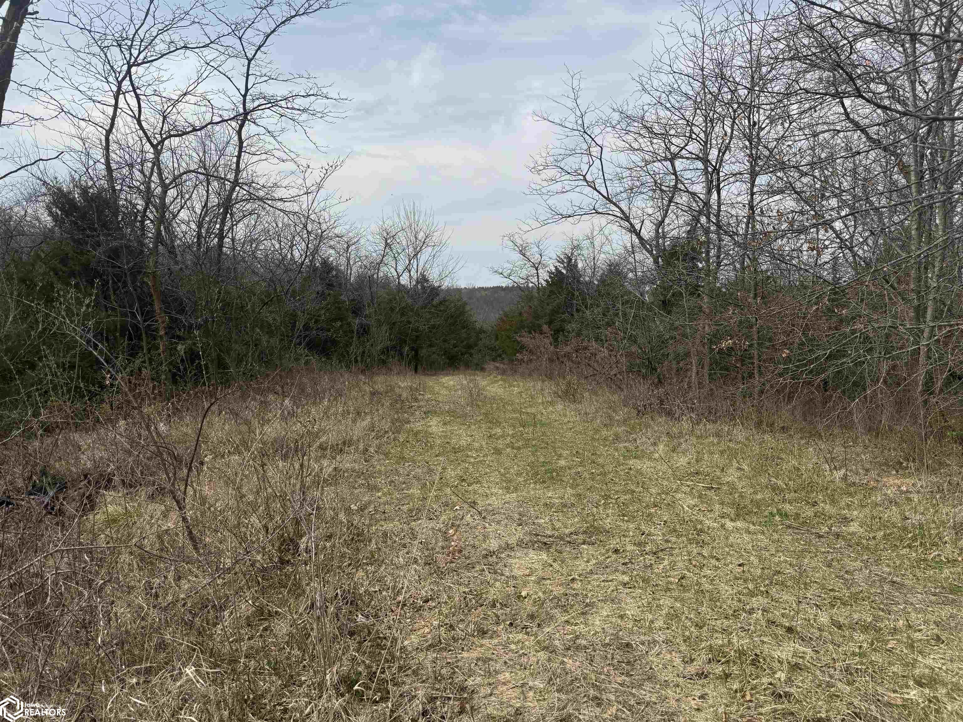Osage Avenue, Fairfield, Iowa image 11