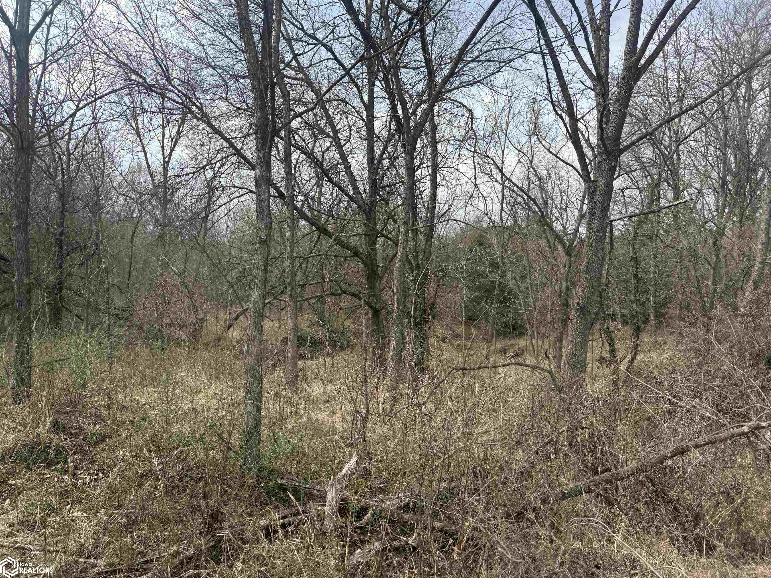 Osage Avenue, Fairfield, Iowa image 12