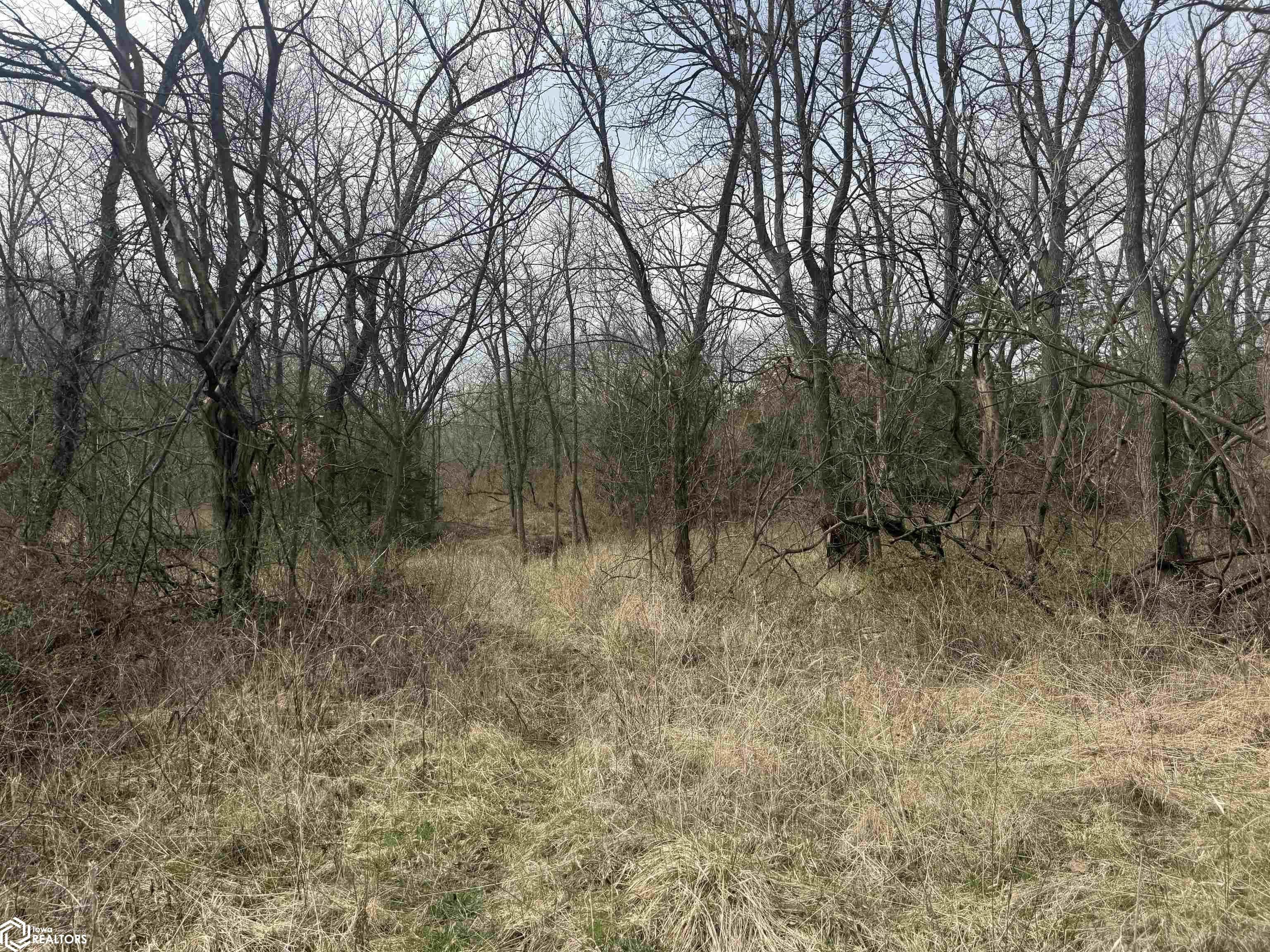 Osage Avenue, Fairfield, Iowa image 13