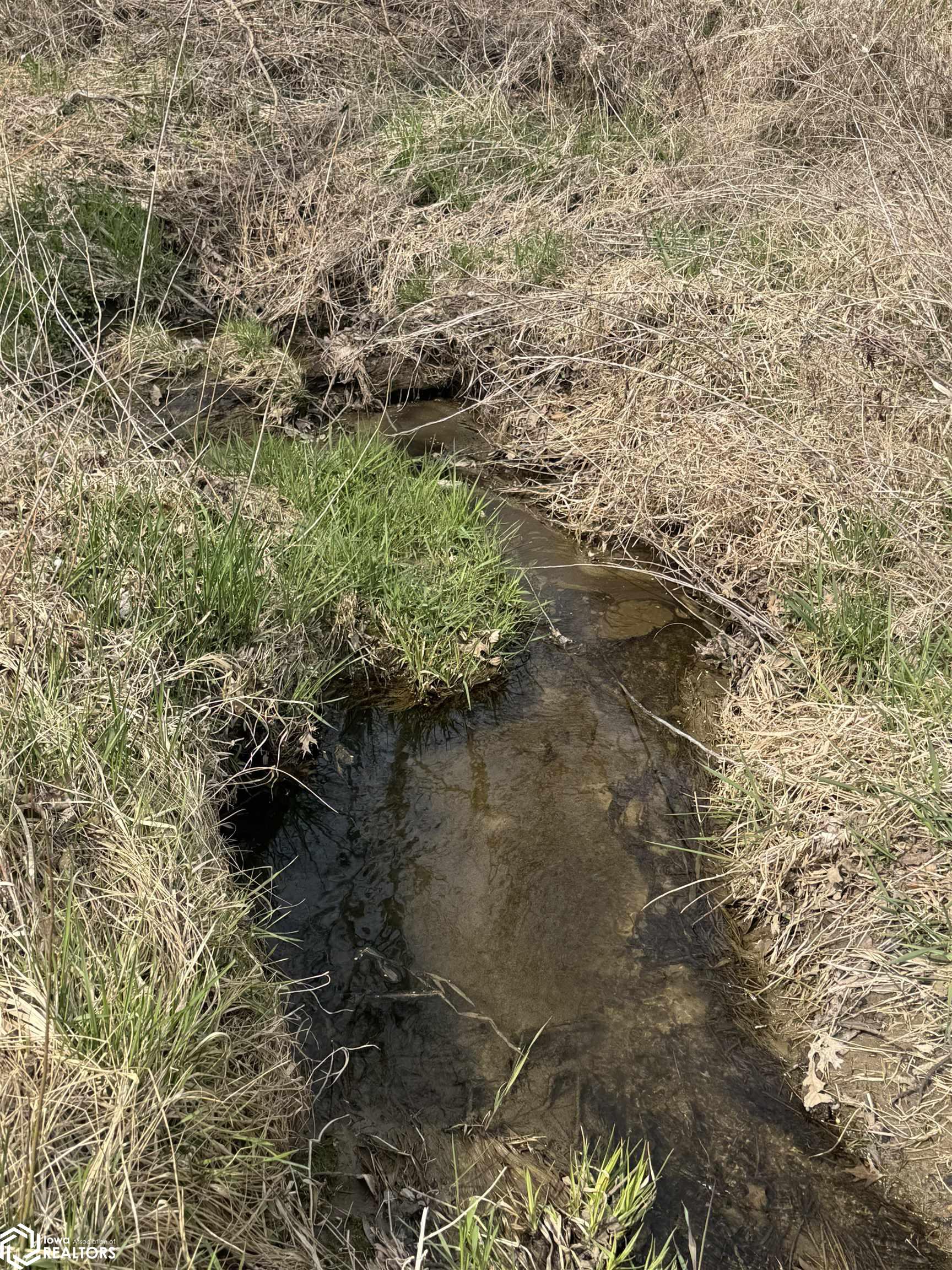 Osage Avenue, Fairfield, Iowa image 15
