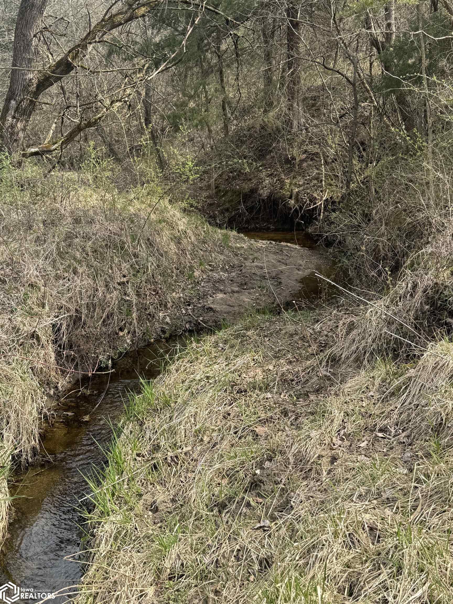 Osage Avenue, Fairfield, Iowa image 16