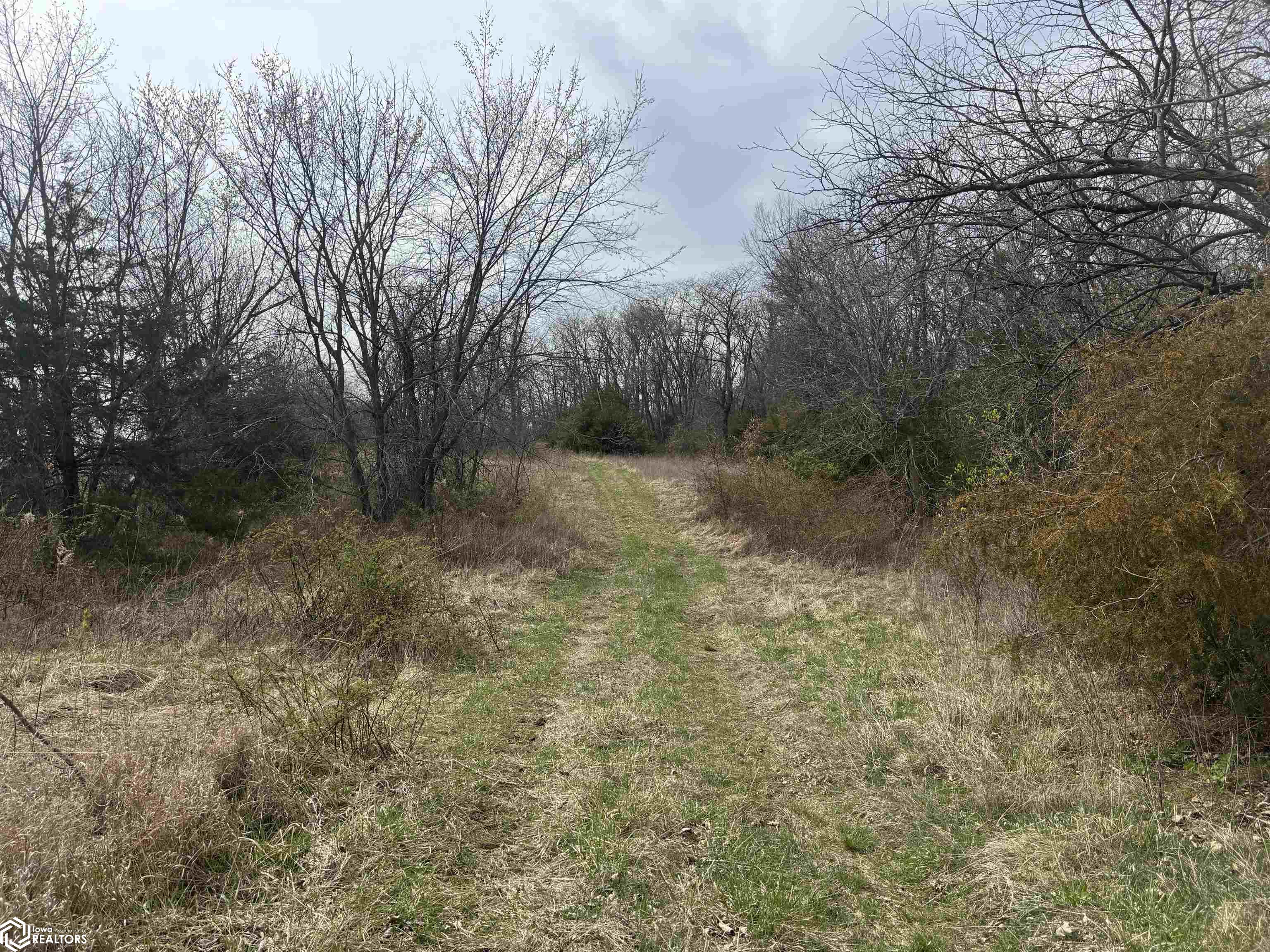 Osage Avenue, Fairfield, Iowa image 17