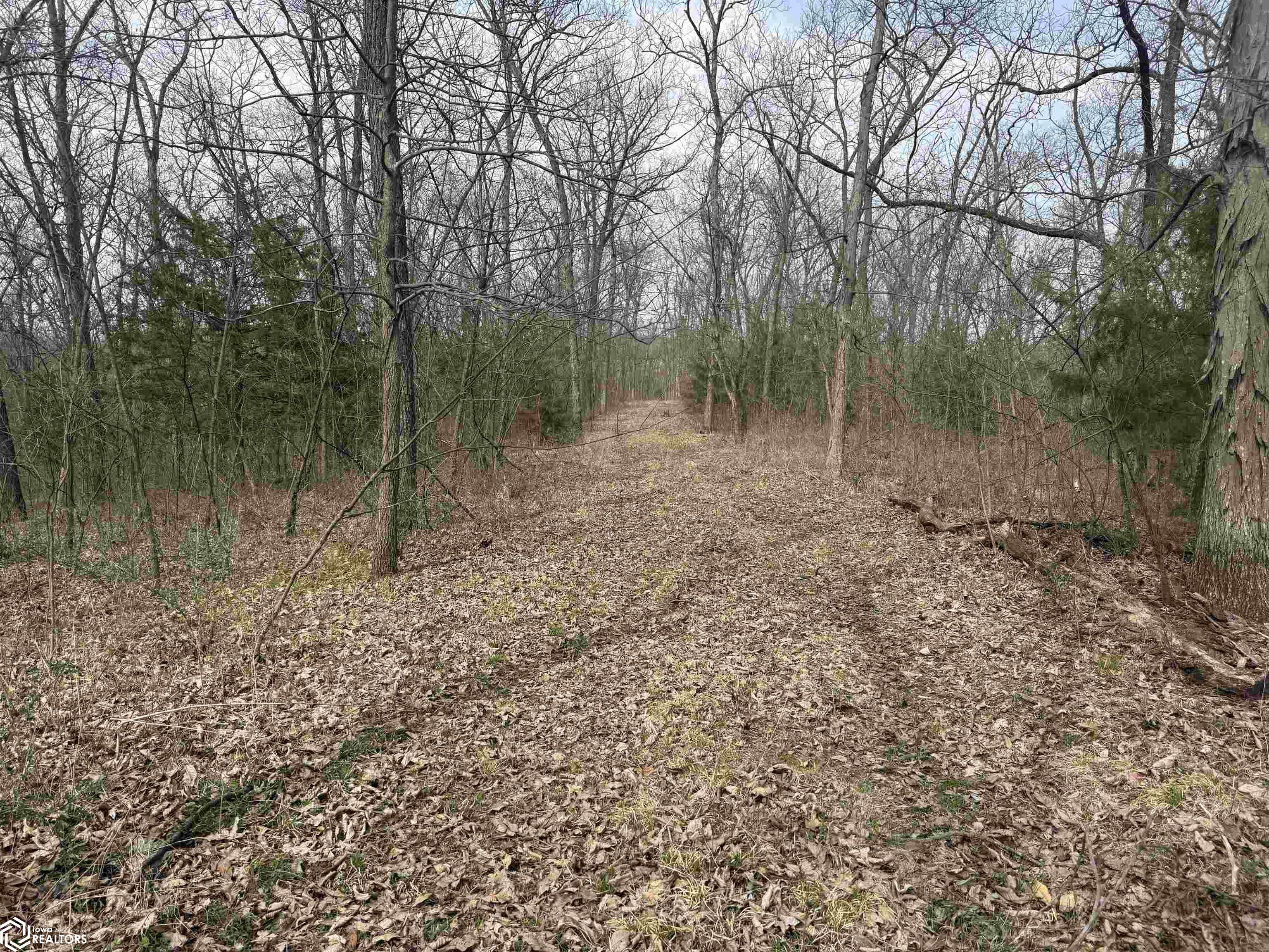 Osage Avenue, Fairfield, Iowa image 18