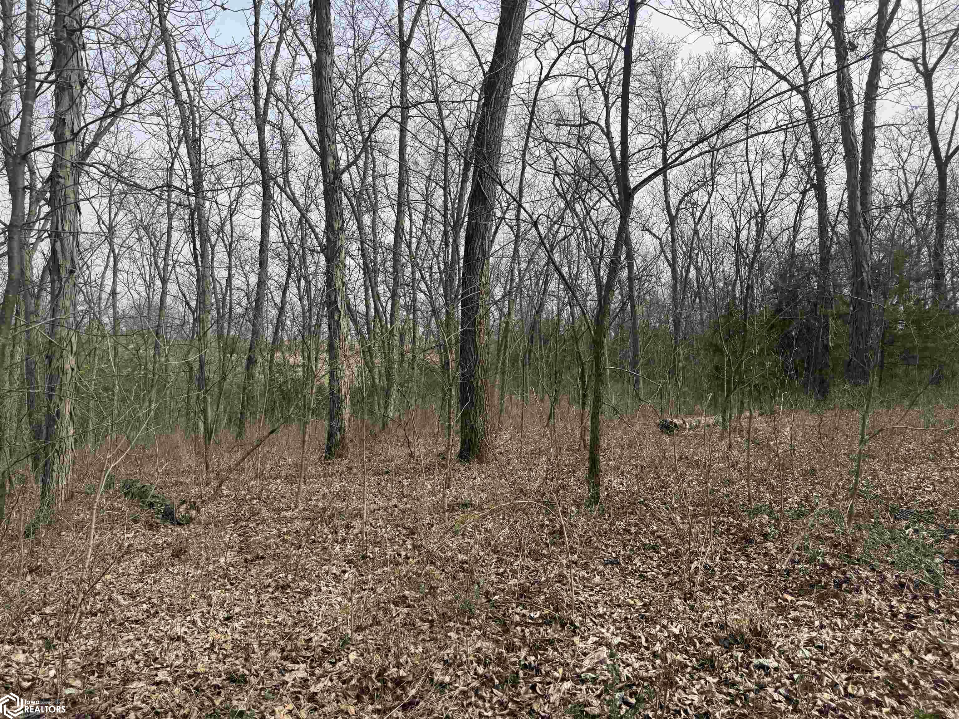Osage Avenue, Fairfield, Iowa image 20