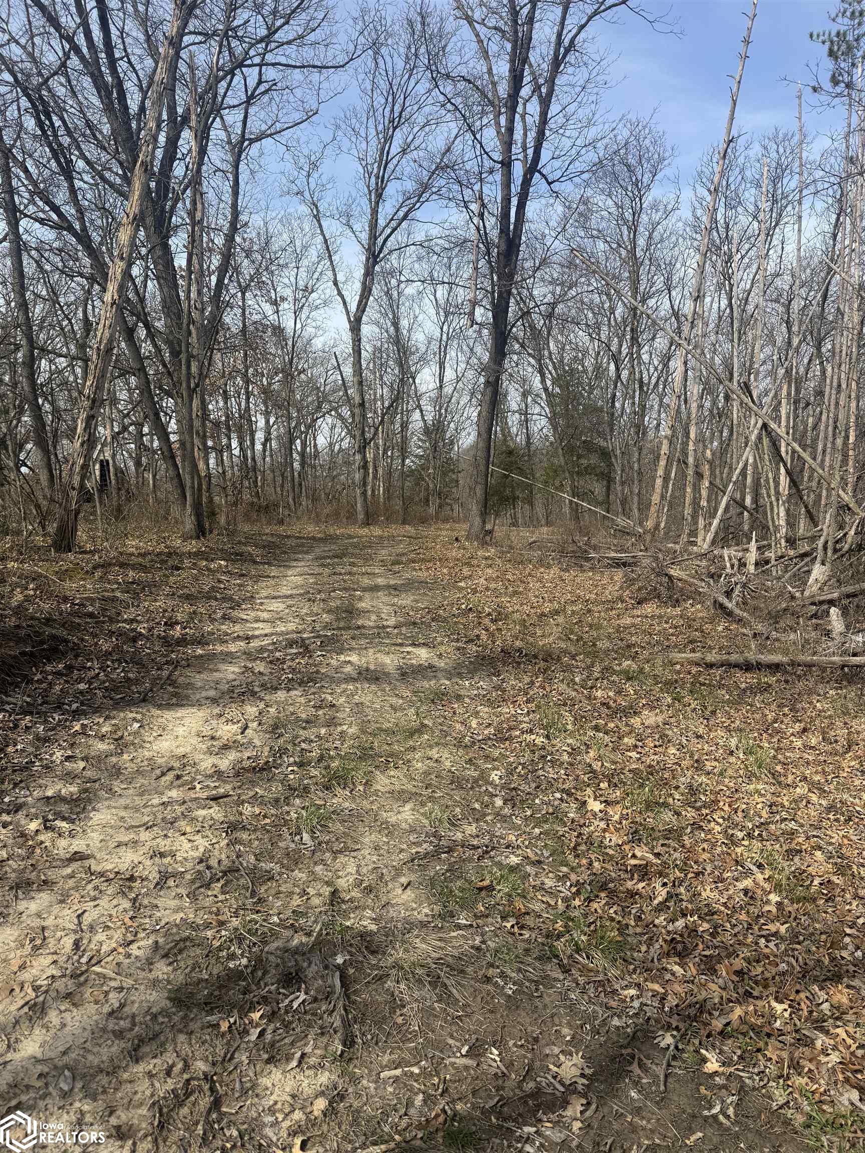 Osage Avenue, Fairfield, Iowa image 3