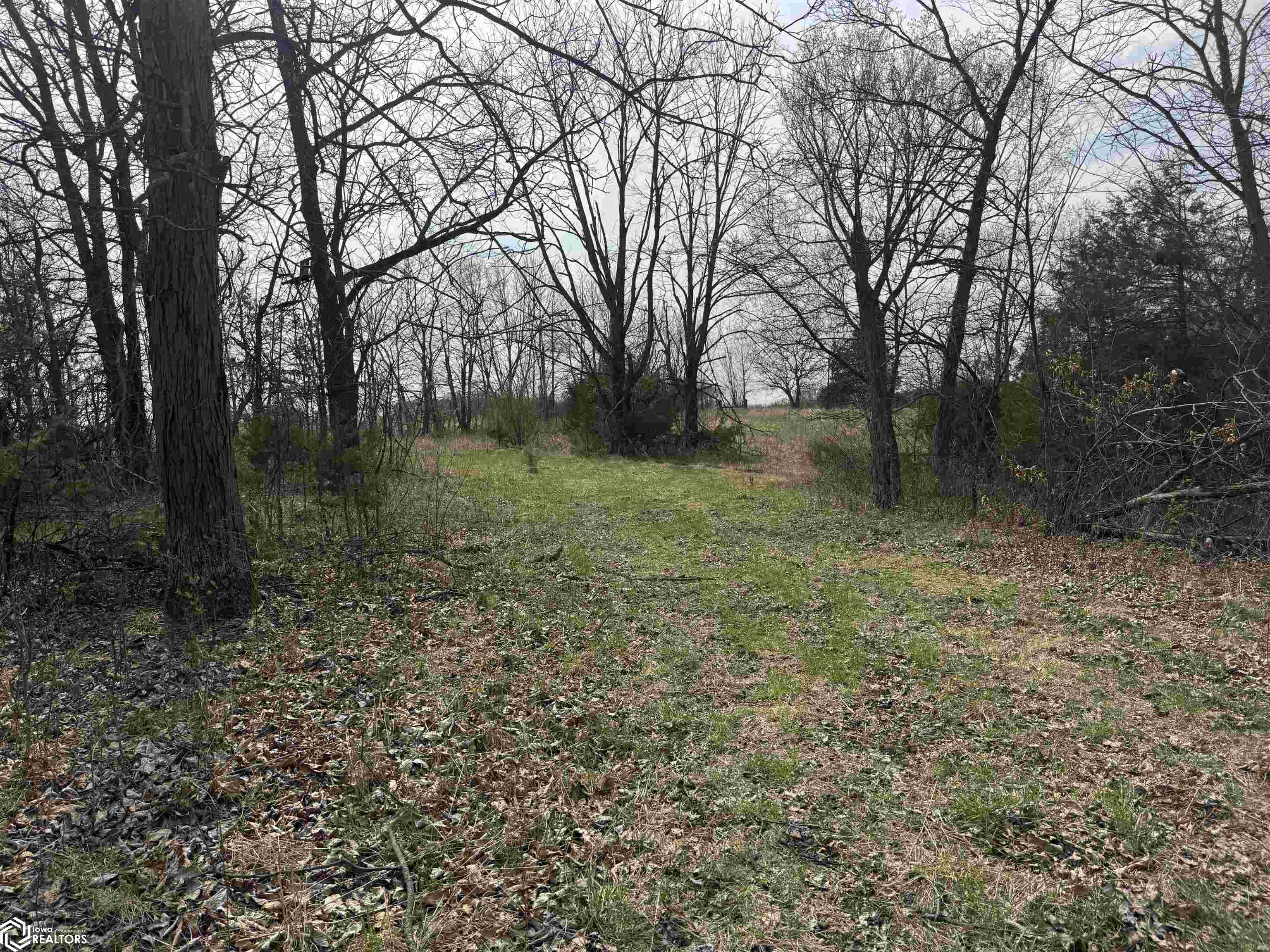 Osage Avenue, Fairfield, Iowa image 21