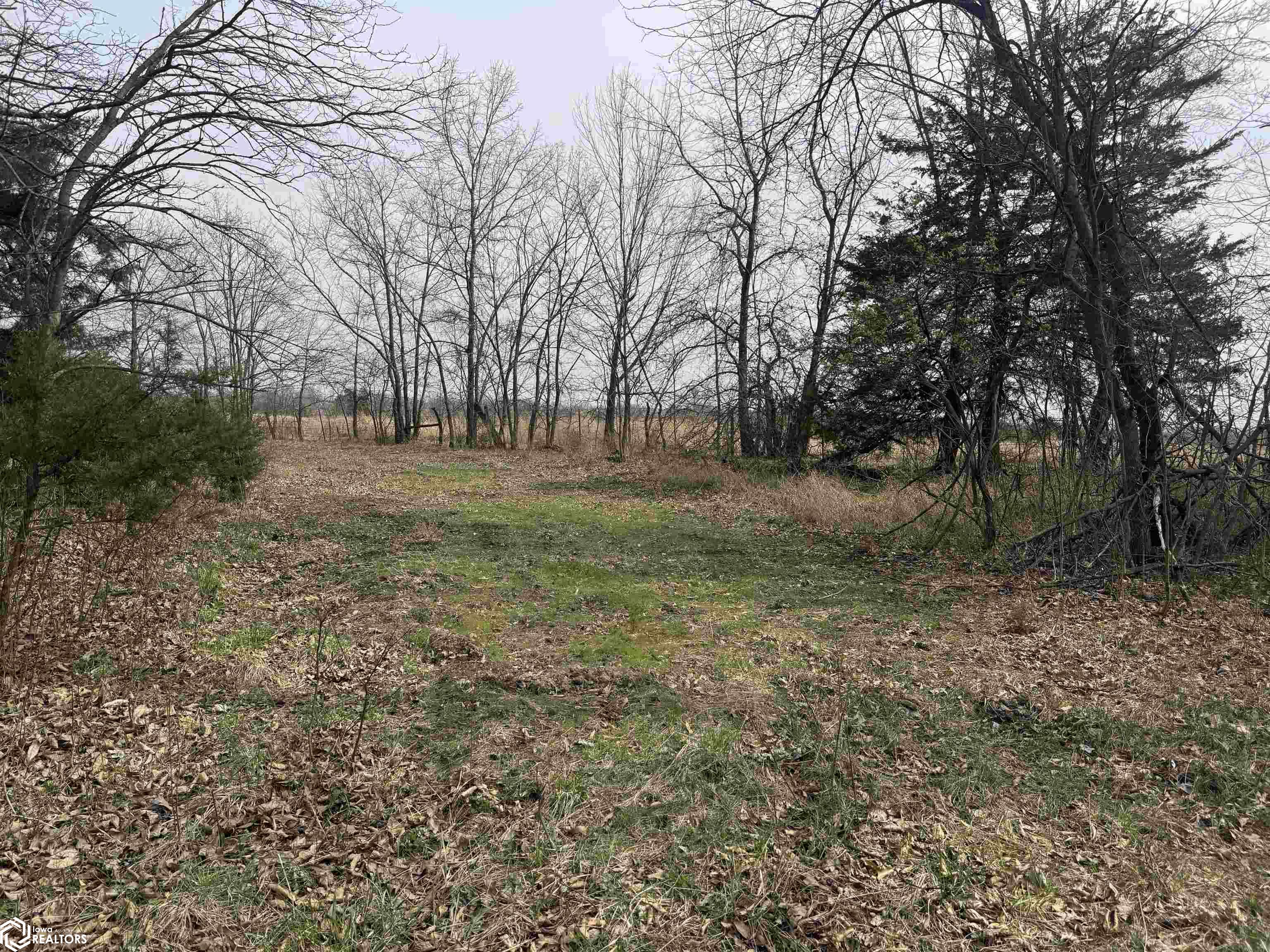 Osage Avenue, Fairfield, Iowa image 22