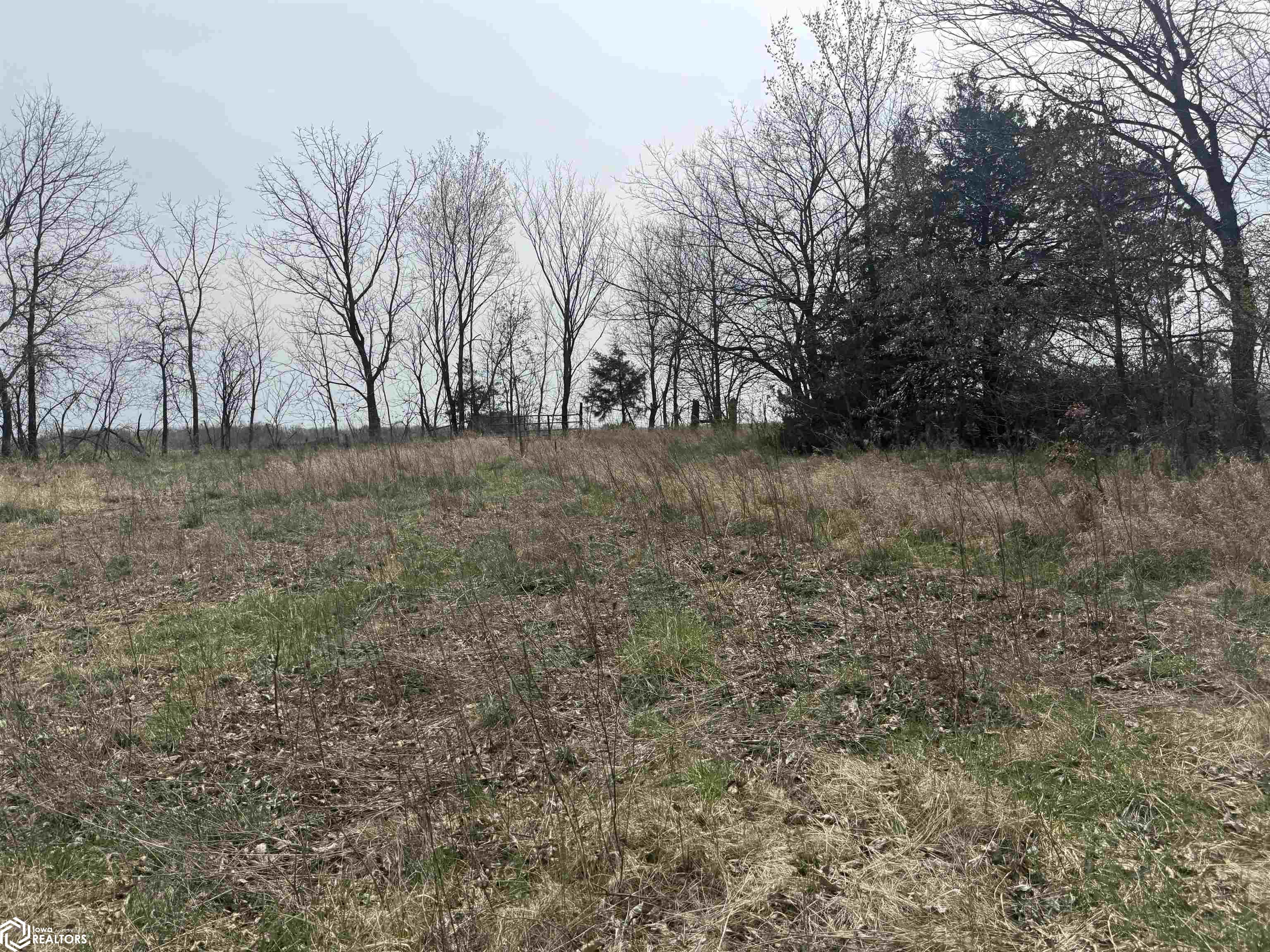 Osage Avenue, Fairfield, Iowa image 23