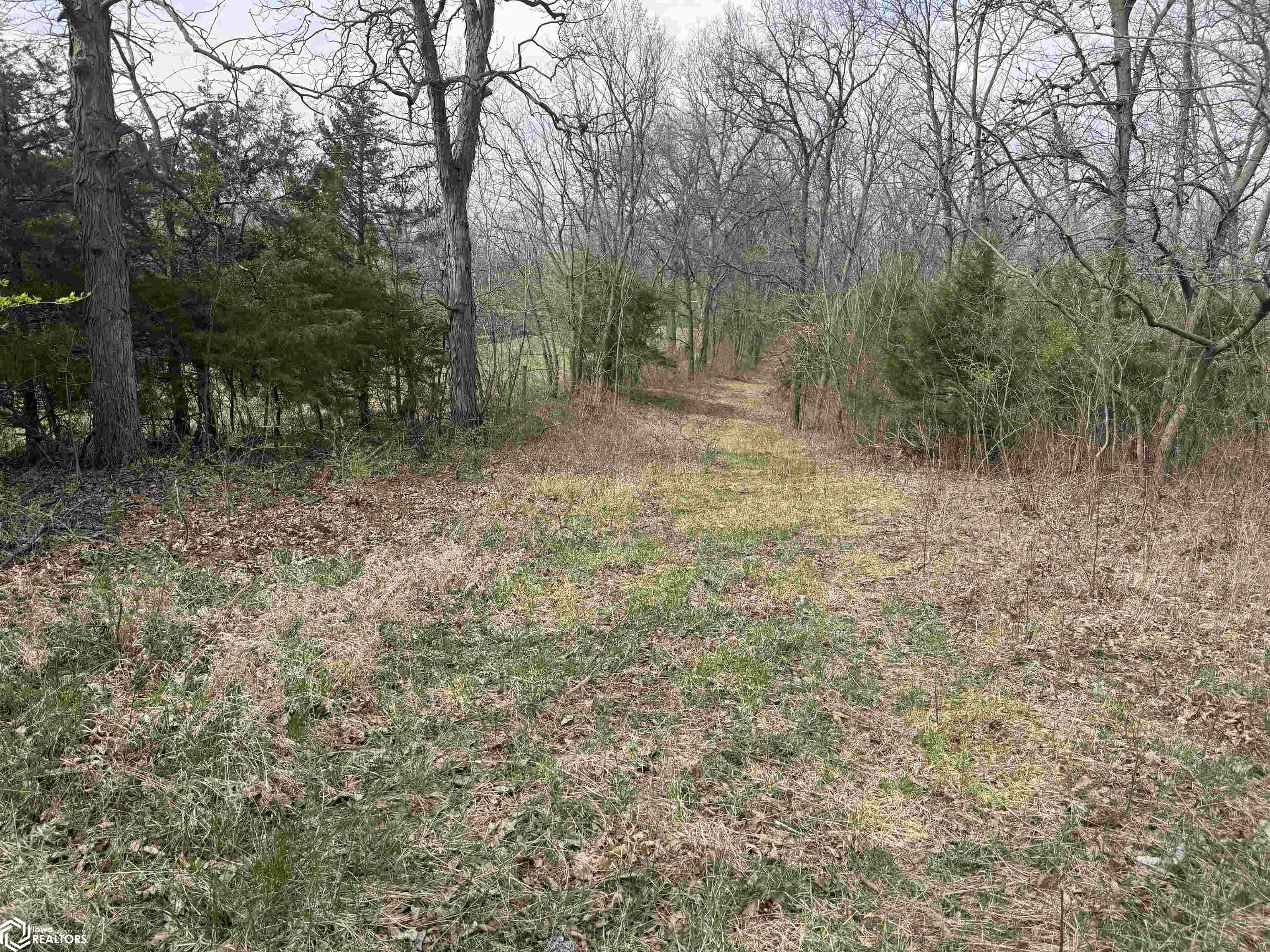 Osage Avenue, Fairfield, Iowa image 24