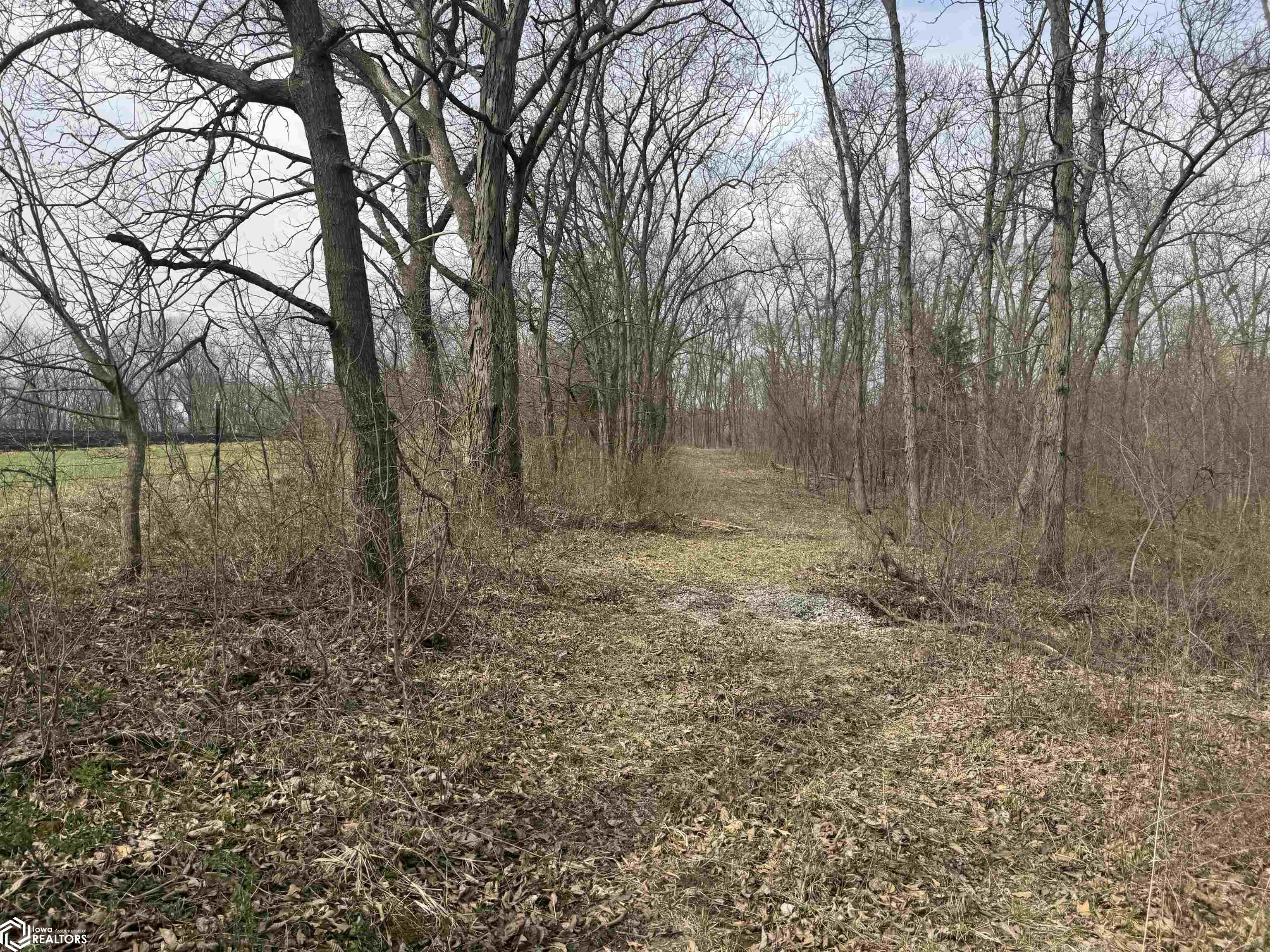 Osage Avenue, Fairfield, Iowa image 25