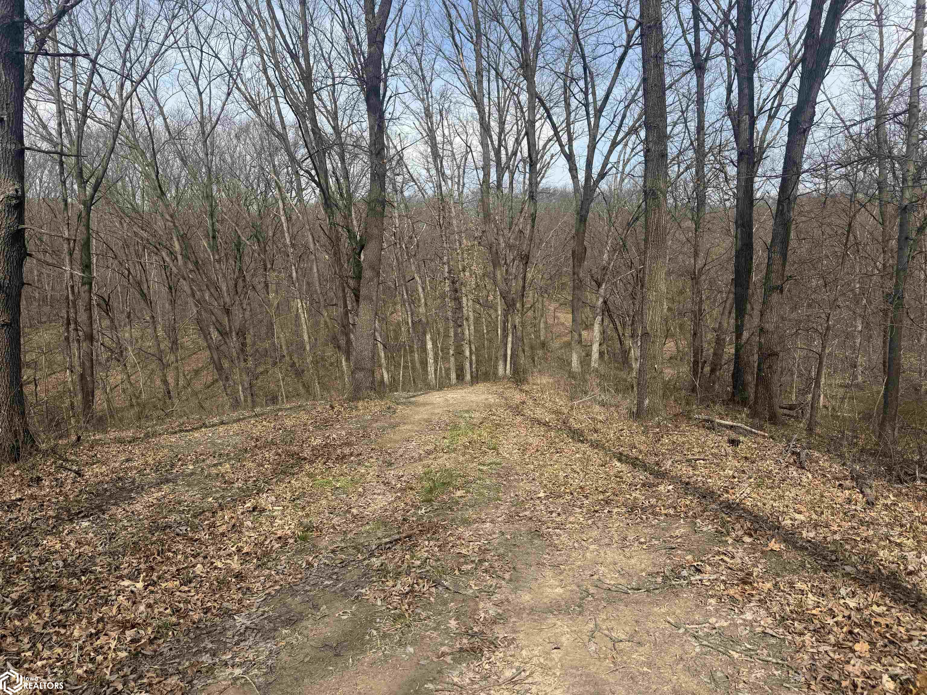 Osage Avenue, Fairfield, Iowa image 6